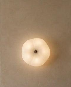 Hana MD Flush Mount in Borosilicate Glass & Brass Finish by Schwung