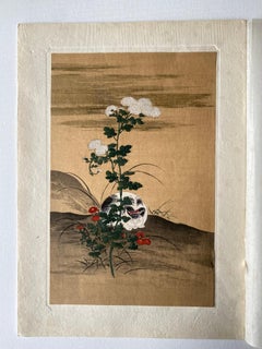 Authentic Japanese Woodblock Print-White Cat-Hanabusa Itchō-Edo-Re-carved 1920s