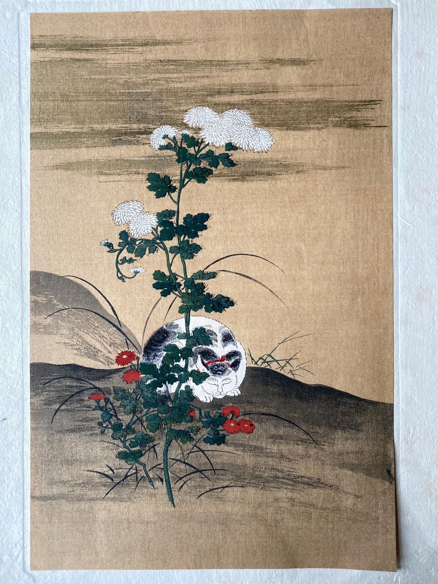 Authentic Japanese Woodblock Print-White Cat-Hanabusa Itchō-Edo-Re-carved 1920s For Sale 8