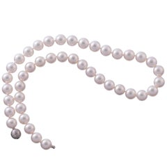 "Hanadama" Akoya 9.5mm - 10mm Pearl Strand 18"