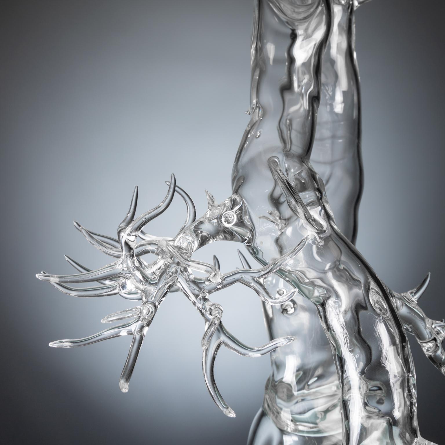 Contemporary Hand Blown Glass Bonsai Sculpture 2019 #01