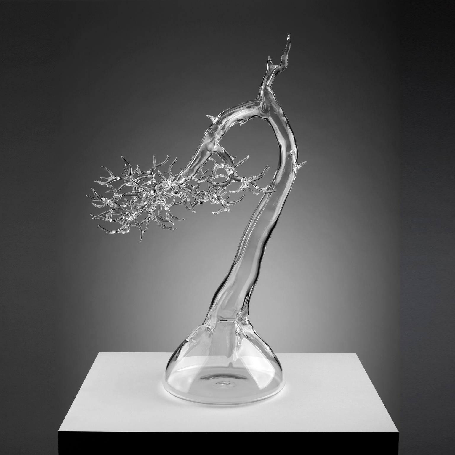 Italian Hand Blown Glass Bonsai Sculpture 2019 #04