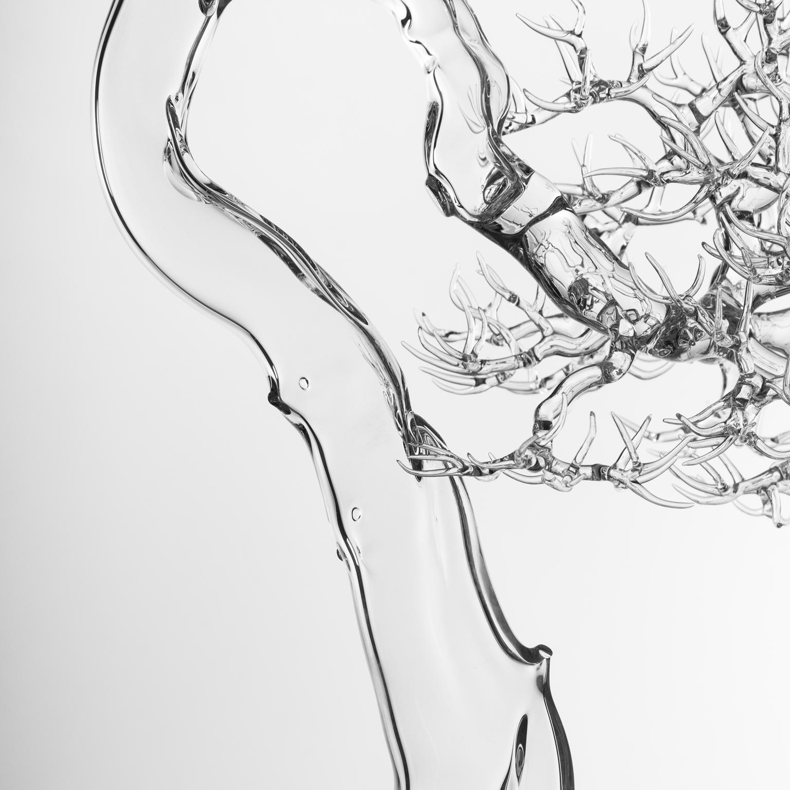 Hand Blown Glass Bonsai Sculpture 2021 #05 by Simone Crestani In New Condition In Camisano Vicentino, IT