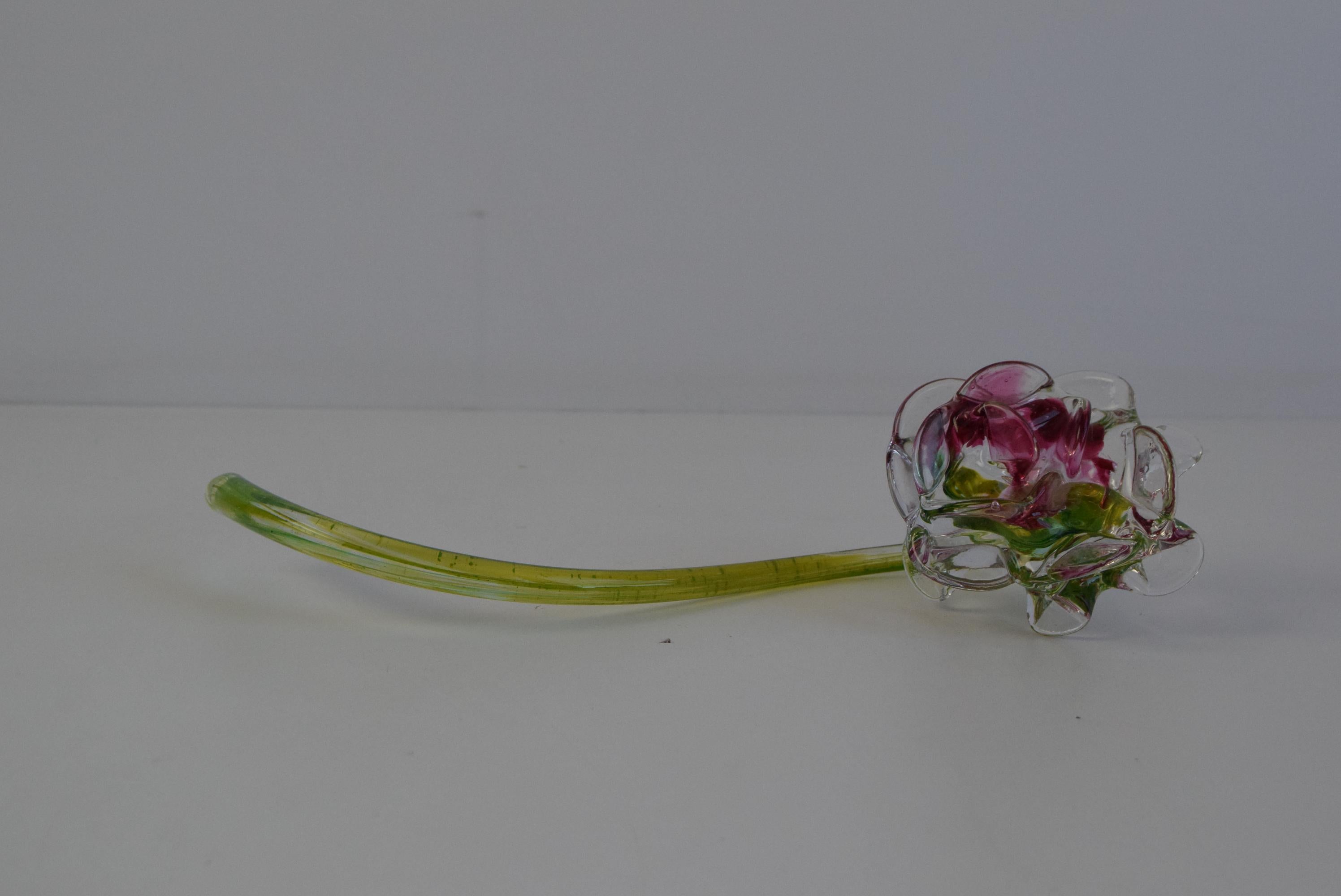 A beautifully hand-blown art glass rose, crafted in Czechoslovakia during the 1970s. This delicate floral sculpture features a long, translucent green stem and a blossom formed from clear glass petals with shades of pink and red. The craftsmanship