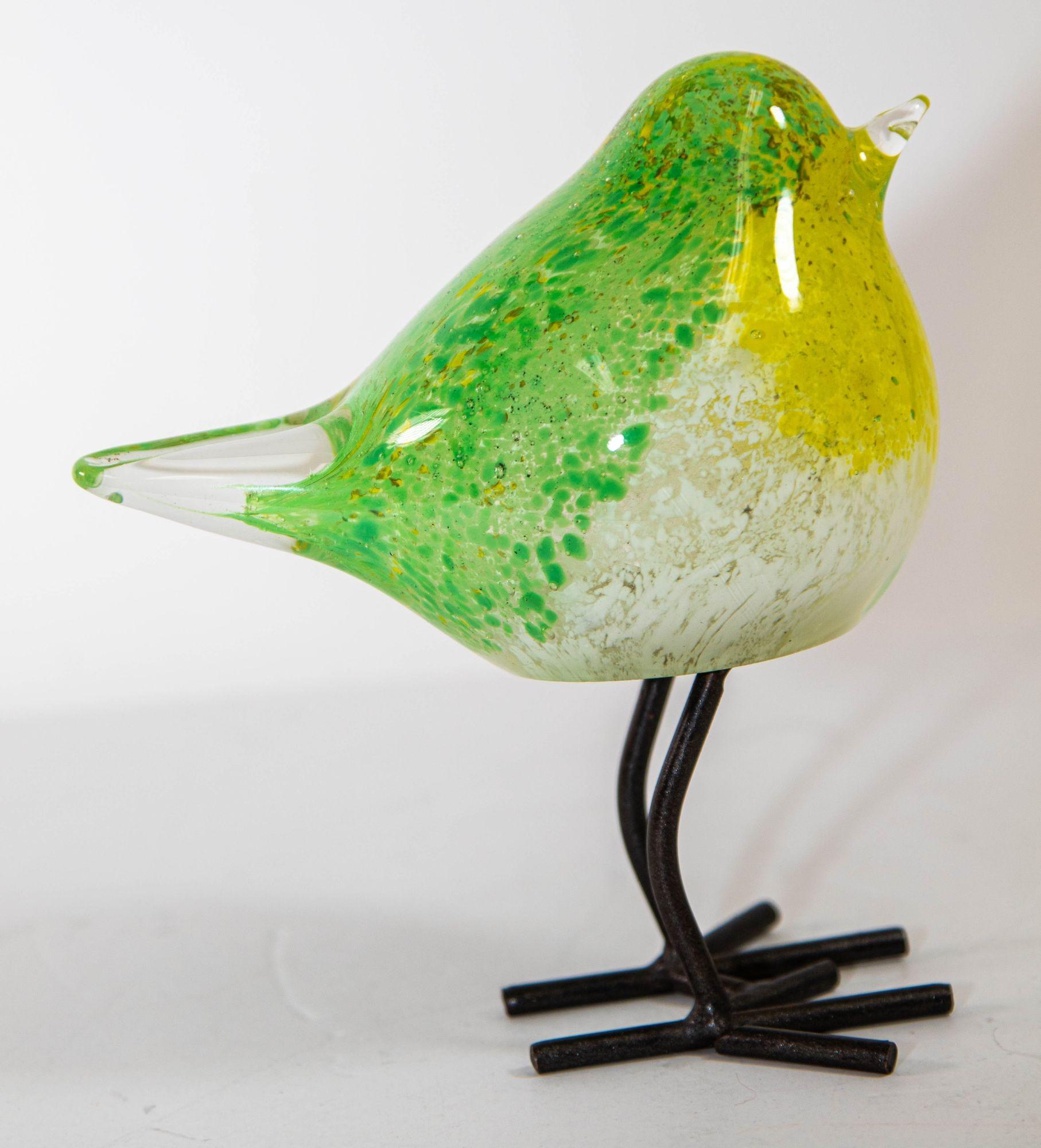hqt glass bird