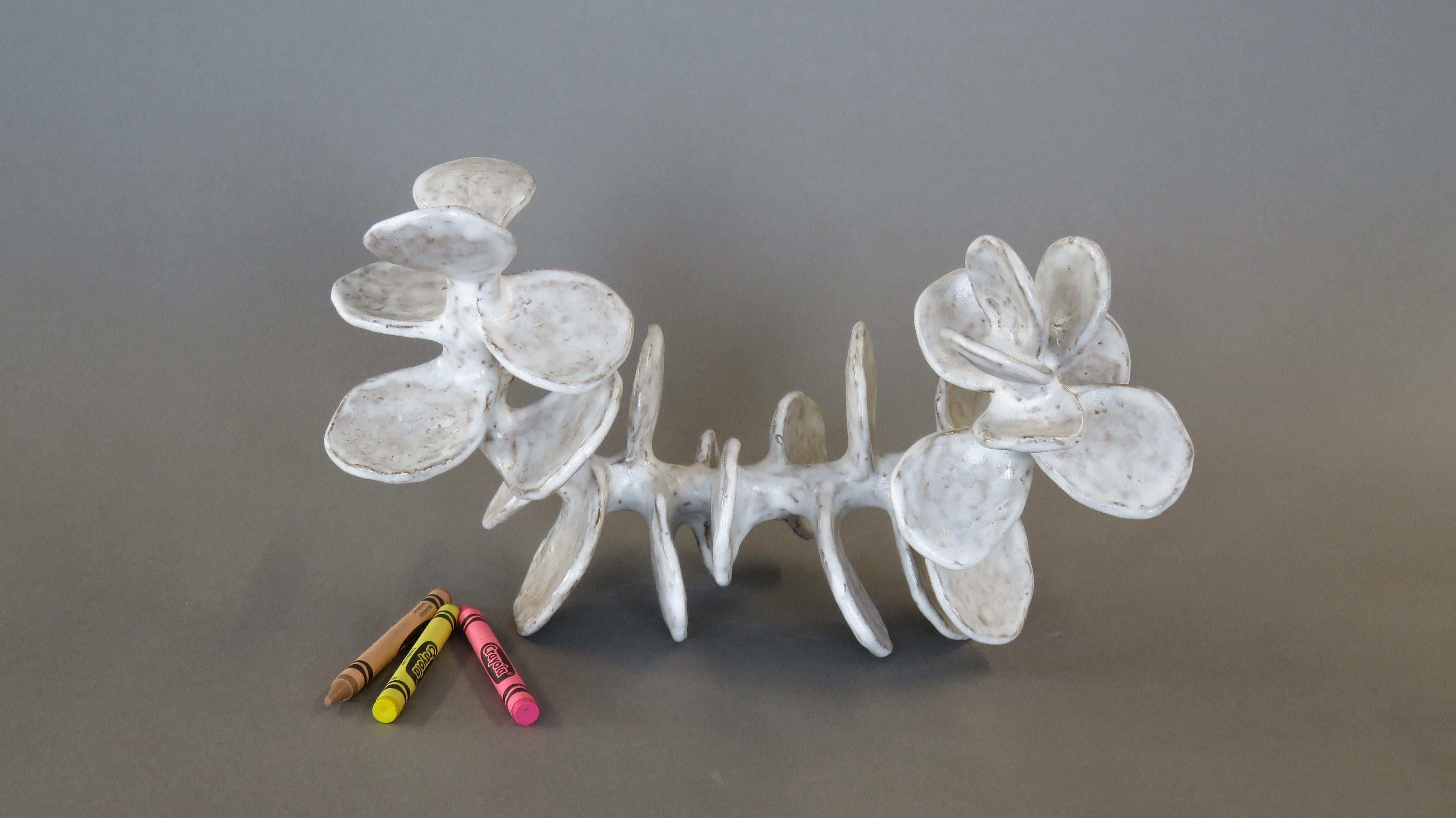 Handbuilt Ceramic Sculpture, Reclining Skeletal Spine in Mottled White 11