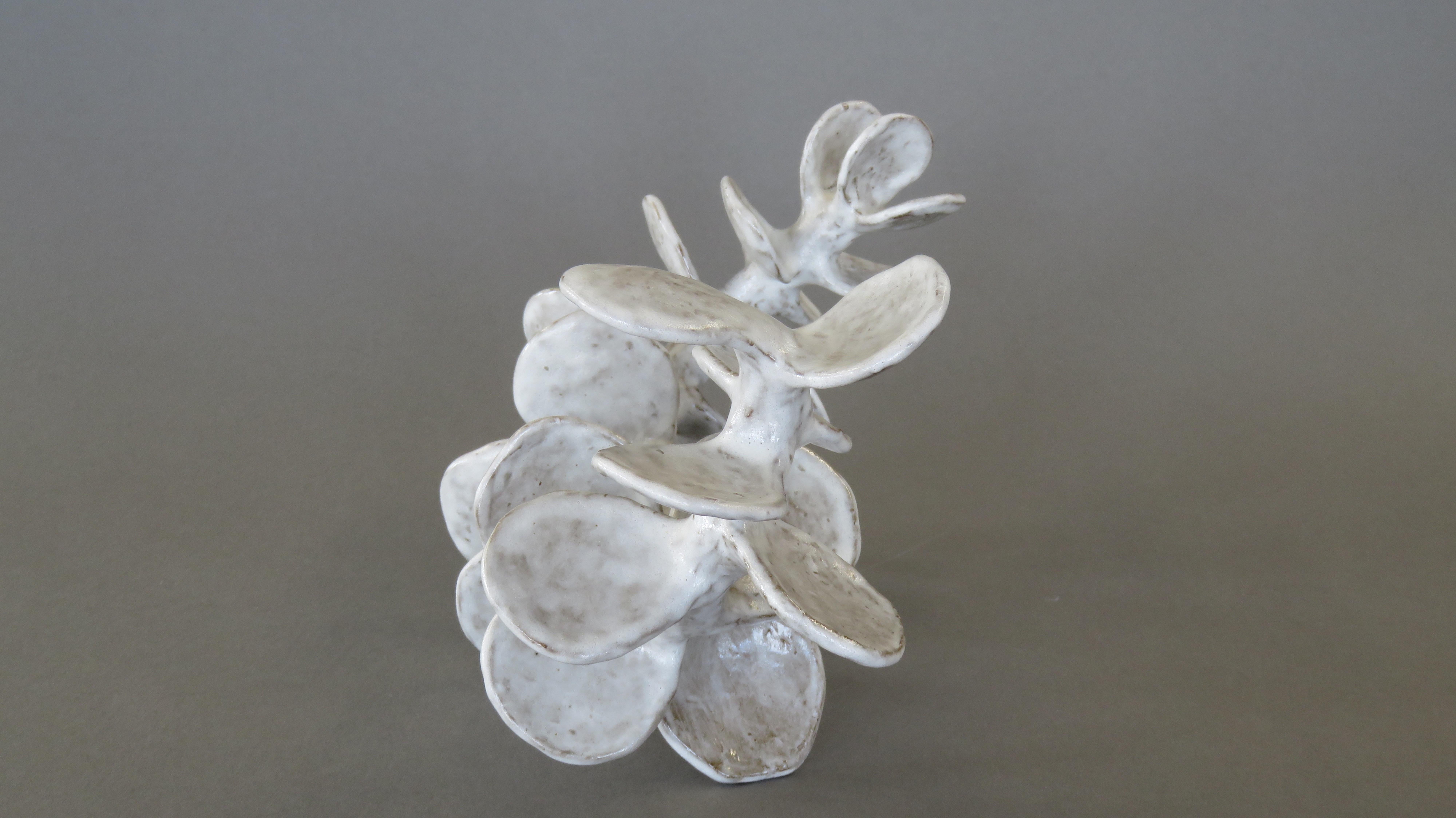 Handbuilt Ceramic Sculpture, Reclining Skeletal Spine in Mottled White 2
