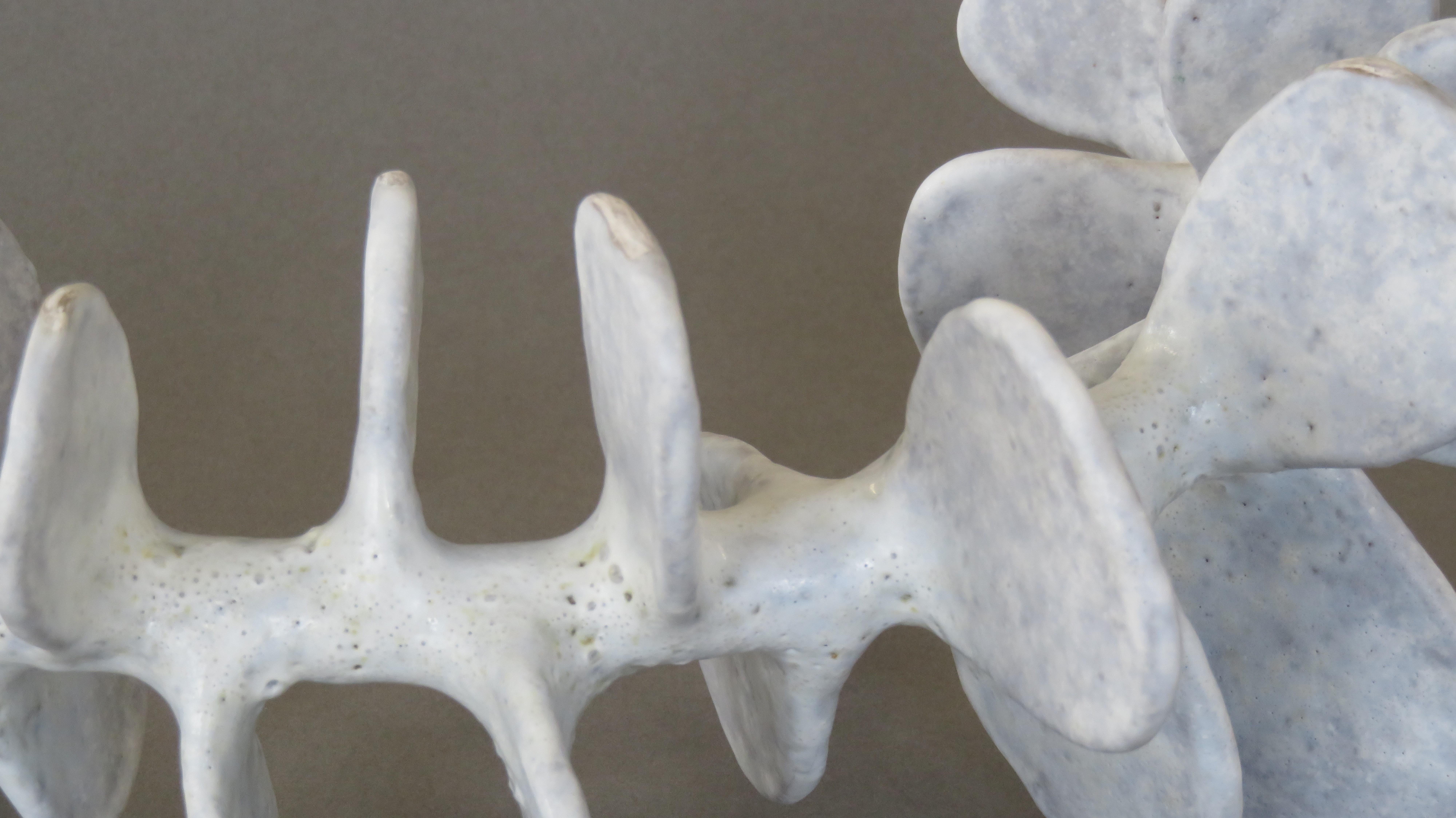 Handgefertigte Keramik-Skulptur:: Stehende Skelett-Wirbelsäule in weicher weißer Glasur 6