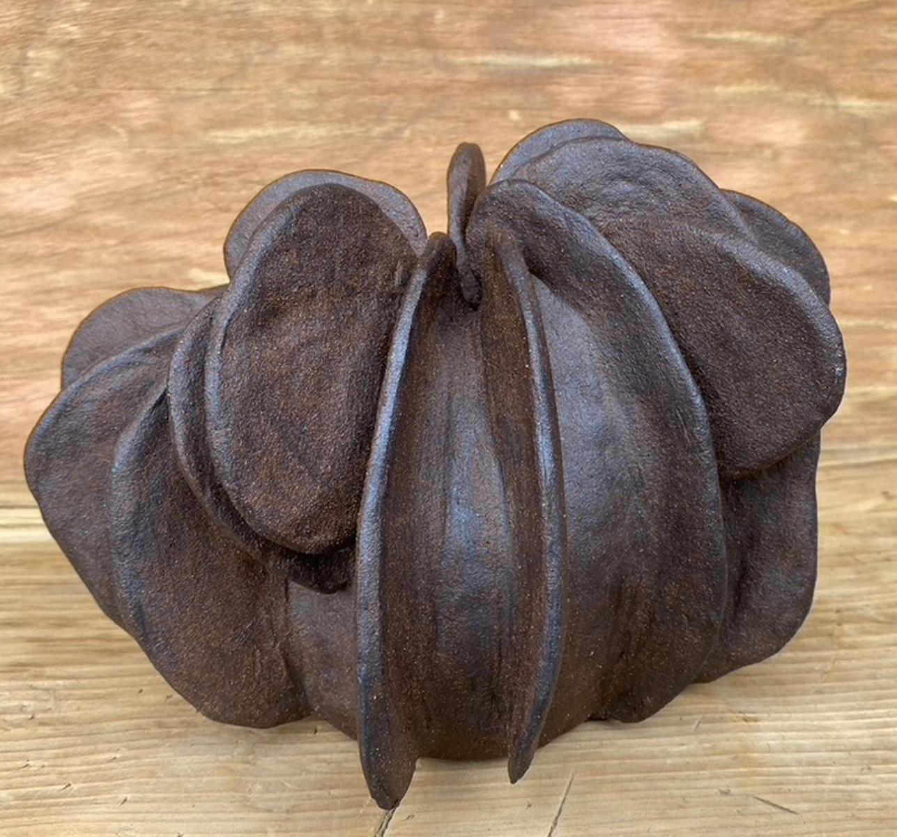 Hand built ceramic vase with large petals. Dark iron rich clay. High fire. Cone 10.
Made by Santa Barbara based artist Sally Terrell. This particular one is part of a series with two other ceramics, see close up photos. Sold separately.