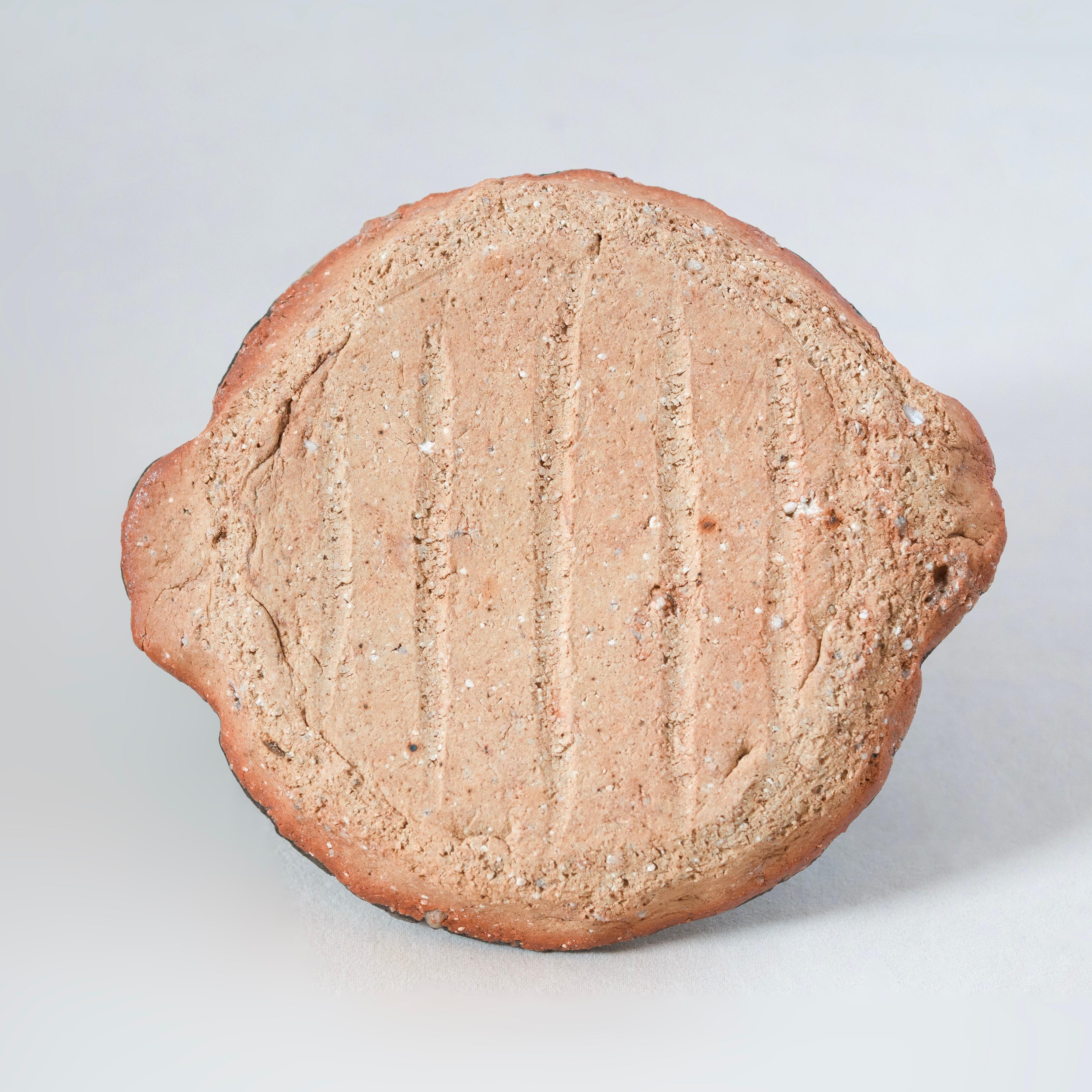 Organic Modern Hand Built Small Plate, from Shigaraki Series For Sale