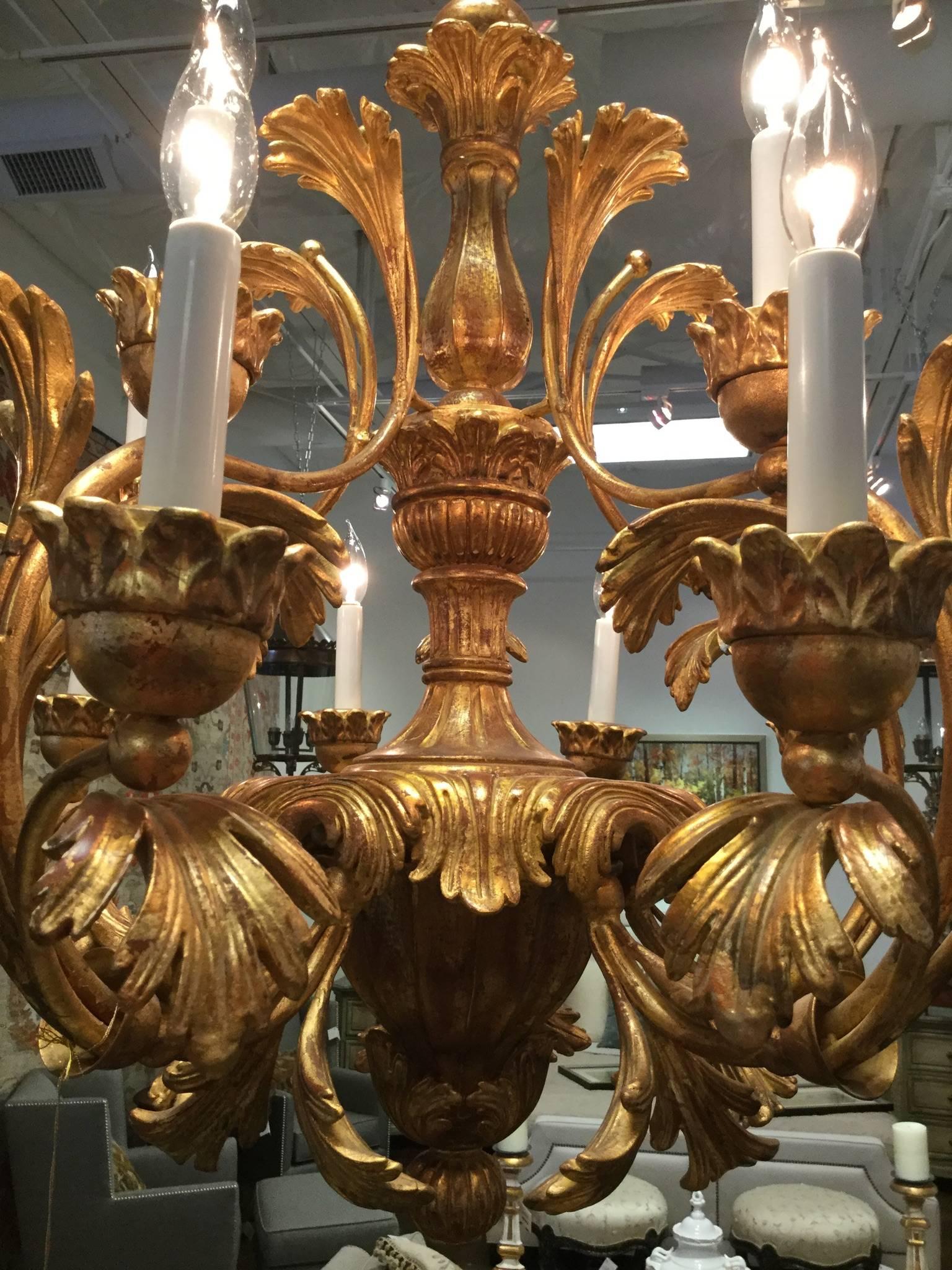 Italian hand-carved twelve-light chandelier featuring a distressed gold gilt finish with fluted centre and curving leaf design, Italy.