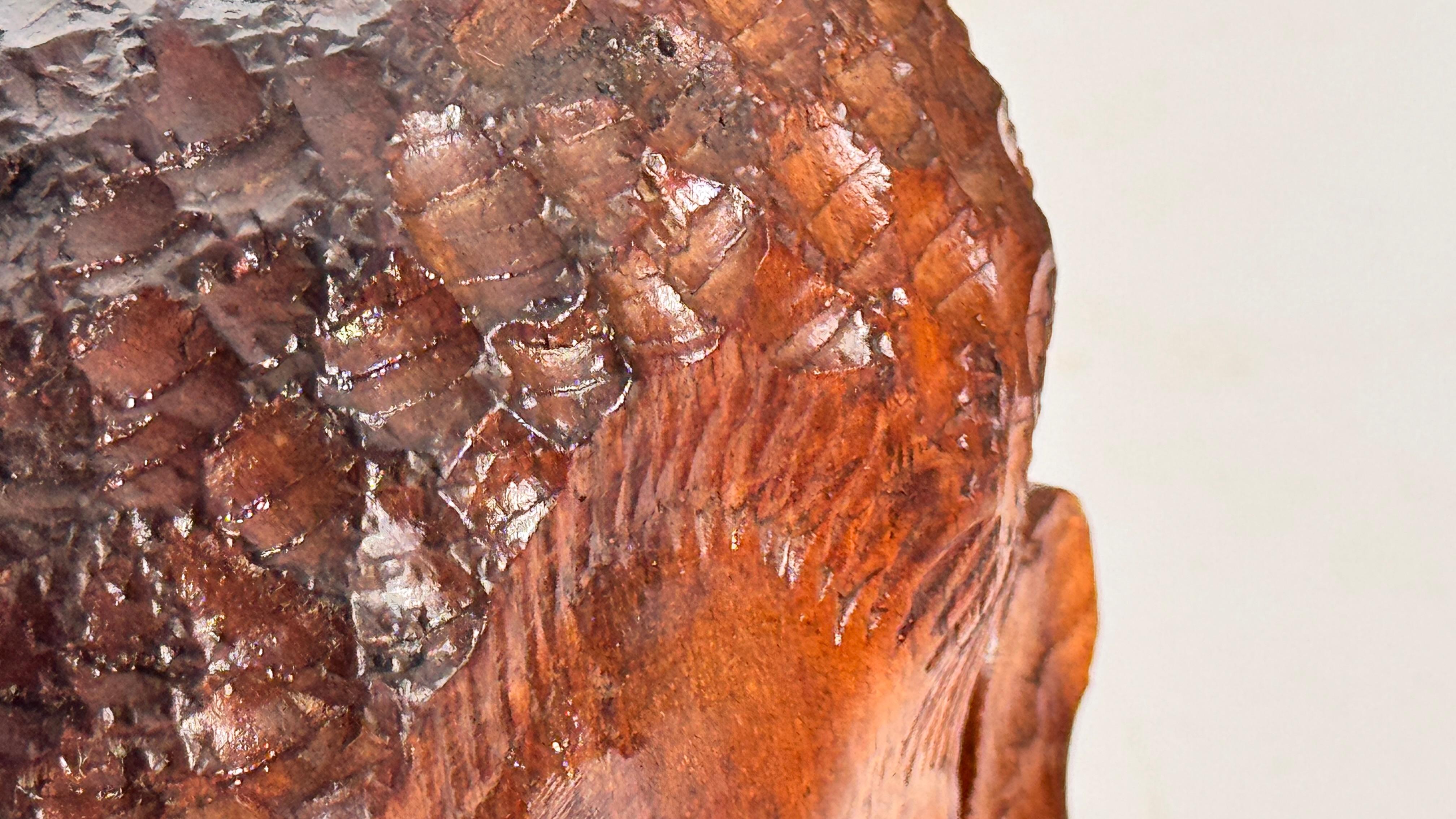 Sculpture tête africaine en bois patiné sculptée à la main - Décoration du milieu du siècle en vente 4