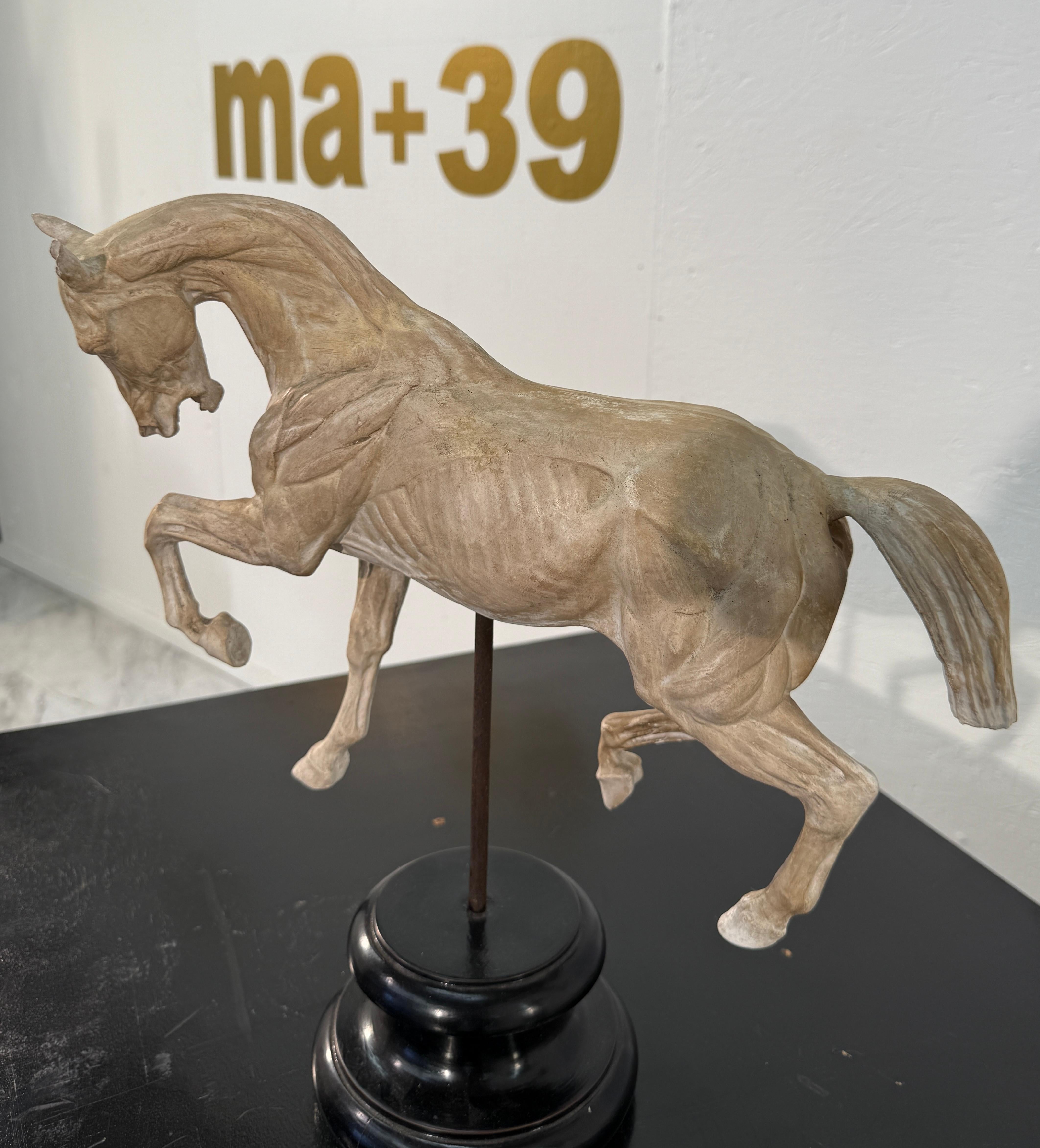 Modern Hand-Carved Anatomical Horse Model on Stand For Sale