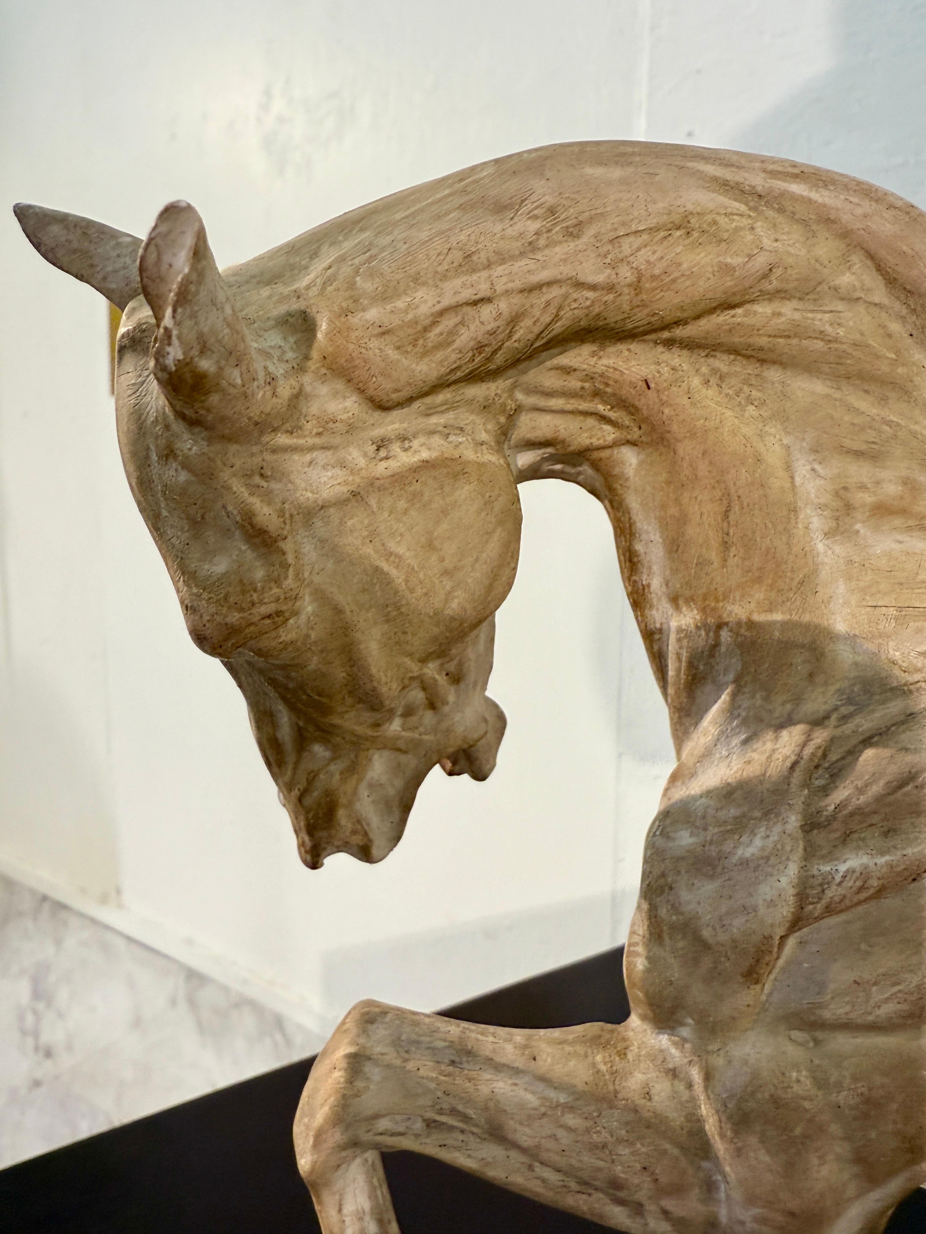 Italian Hand-Carved Anatomical Horse Model on Stand For Sale