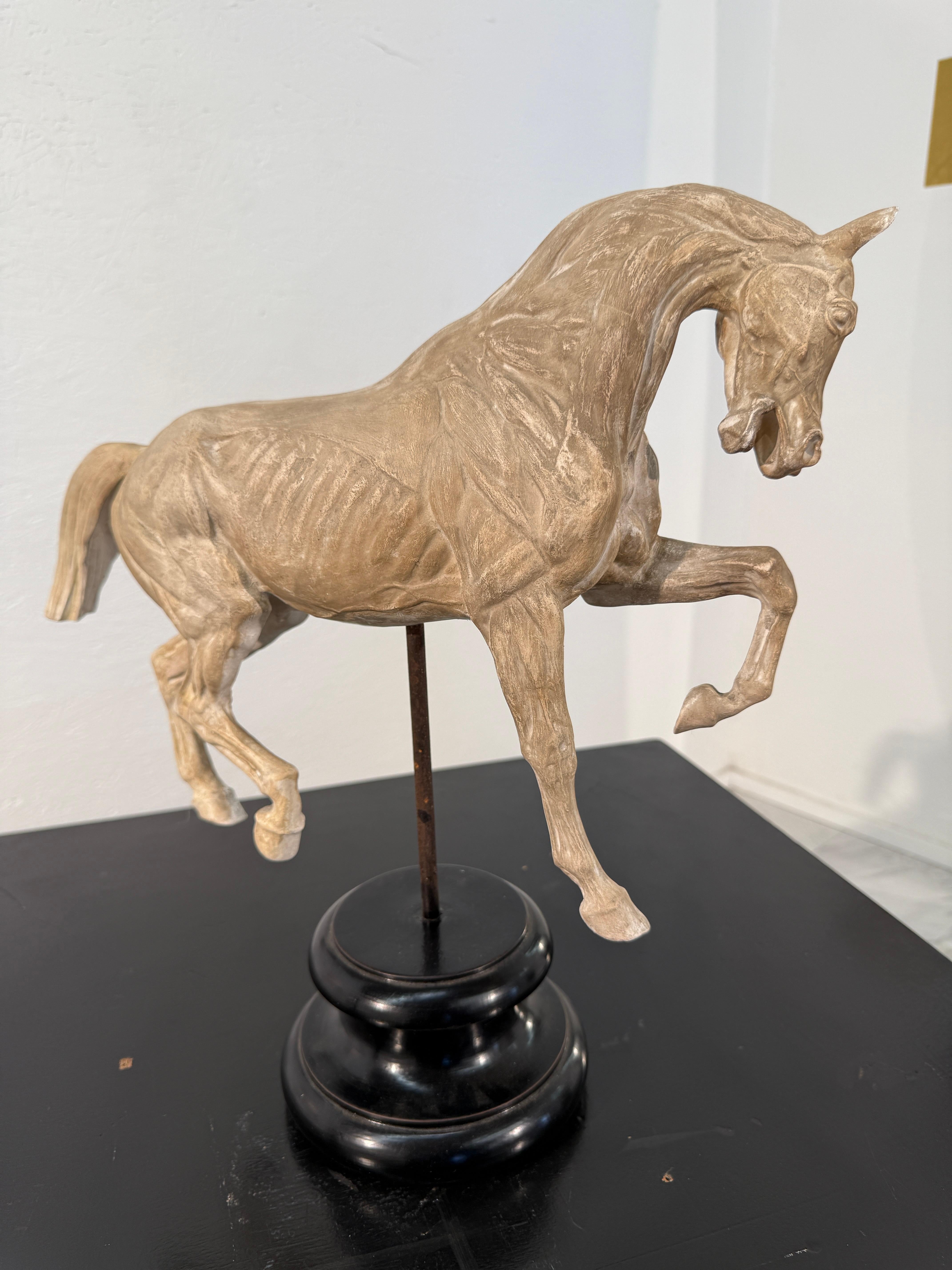 Hand-Carved Anatomical Horse Model on Stand In Good Condition For Sale In Los Angeles, CA