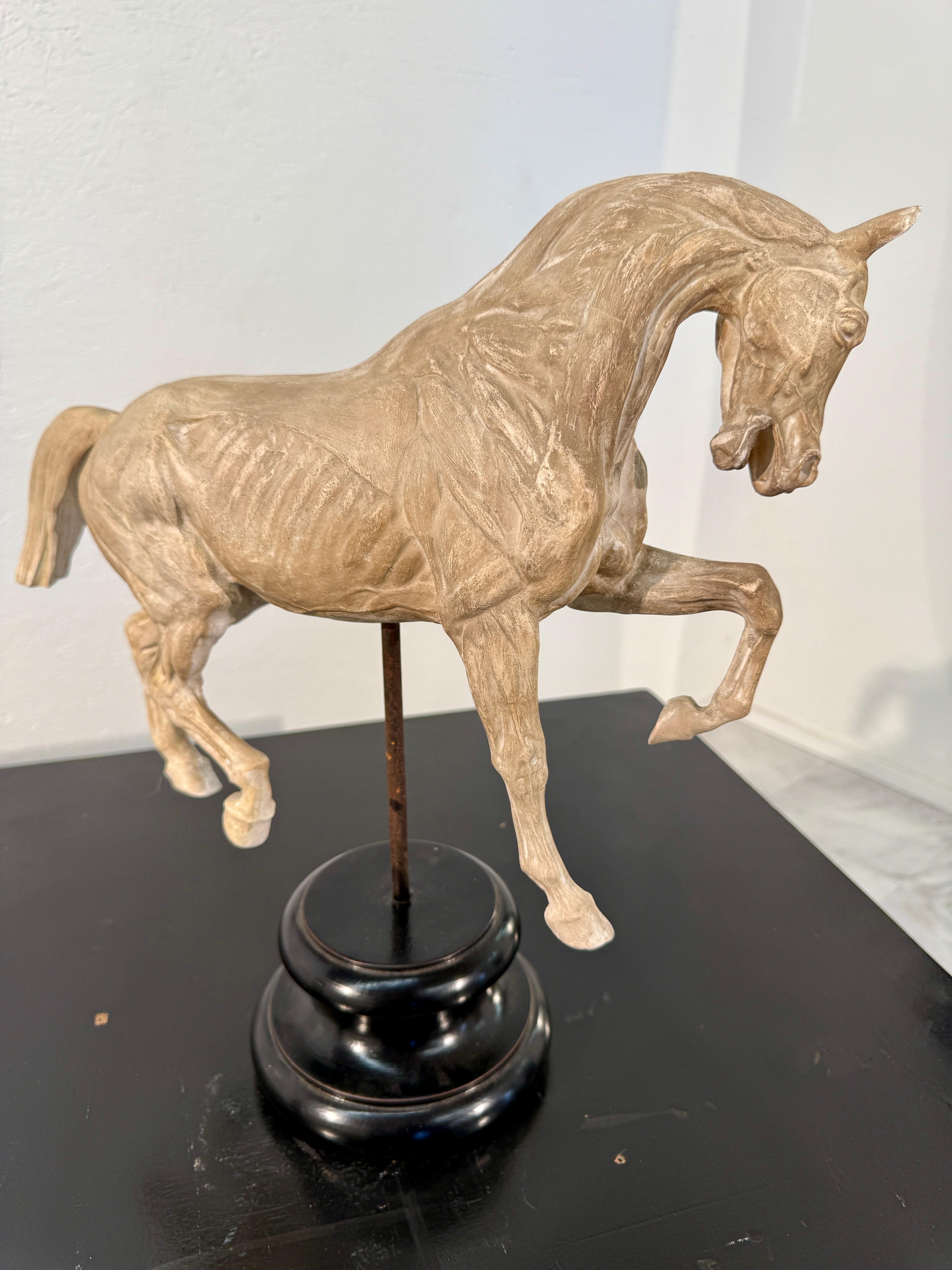 Mid-20th Century Hand-Carved Anatomical Horse Model on Stand For Sale