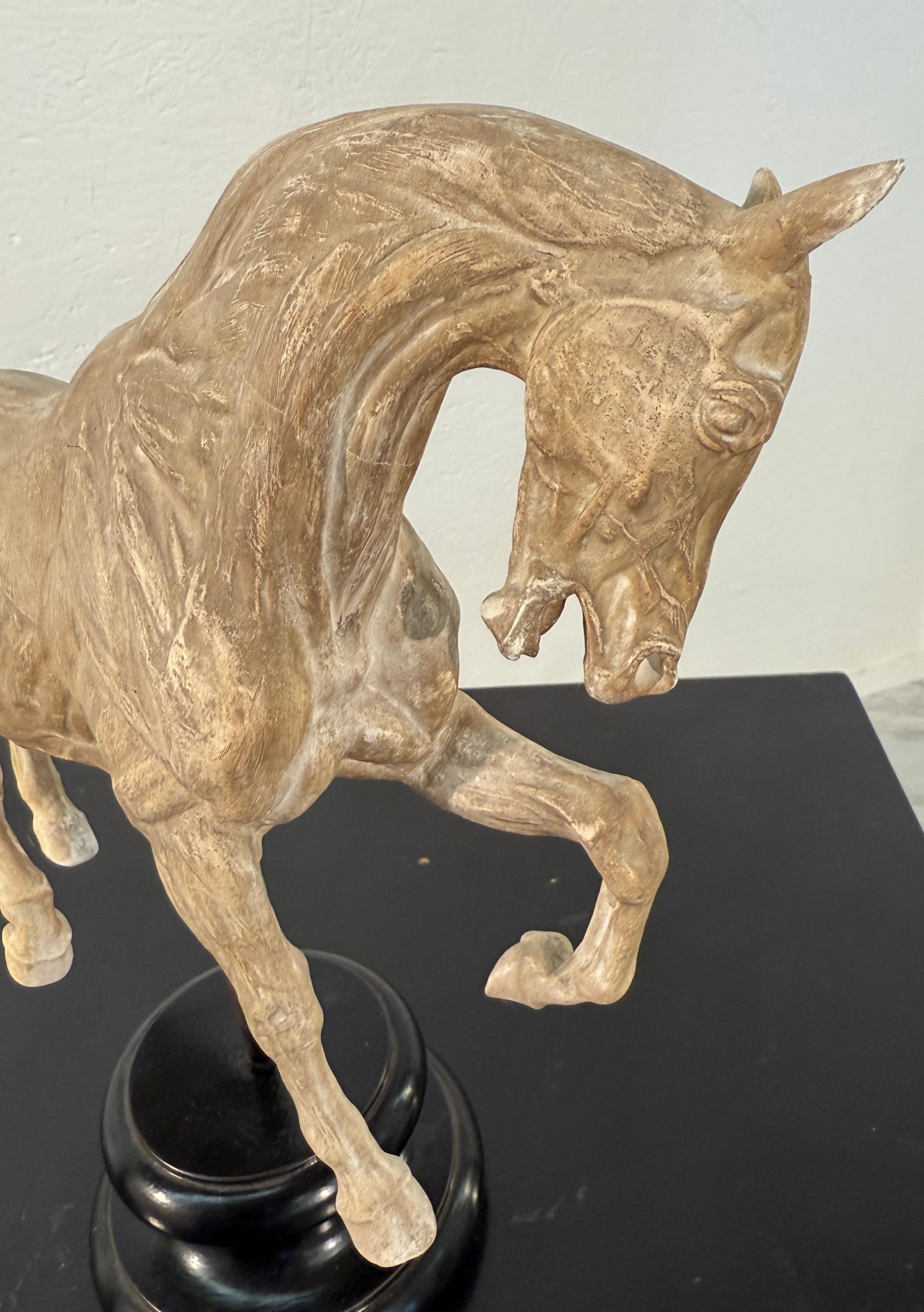 Wood Hand-Carved Anatomical Horse Model on Stand For Sale