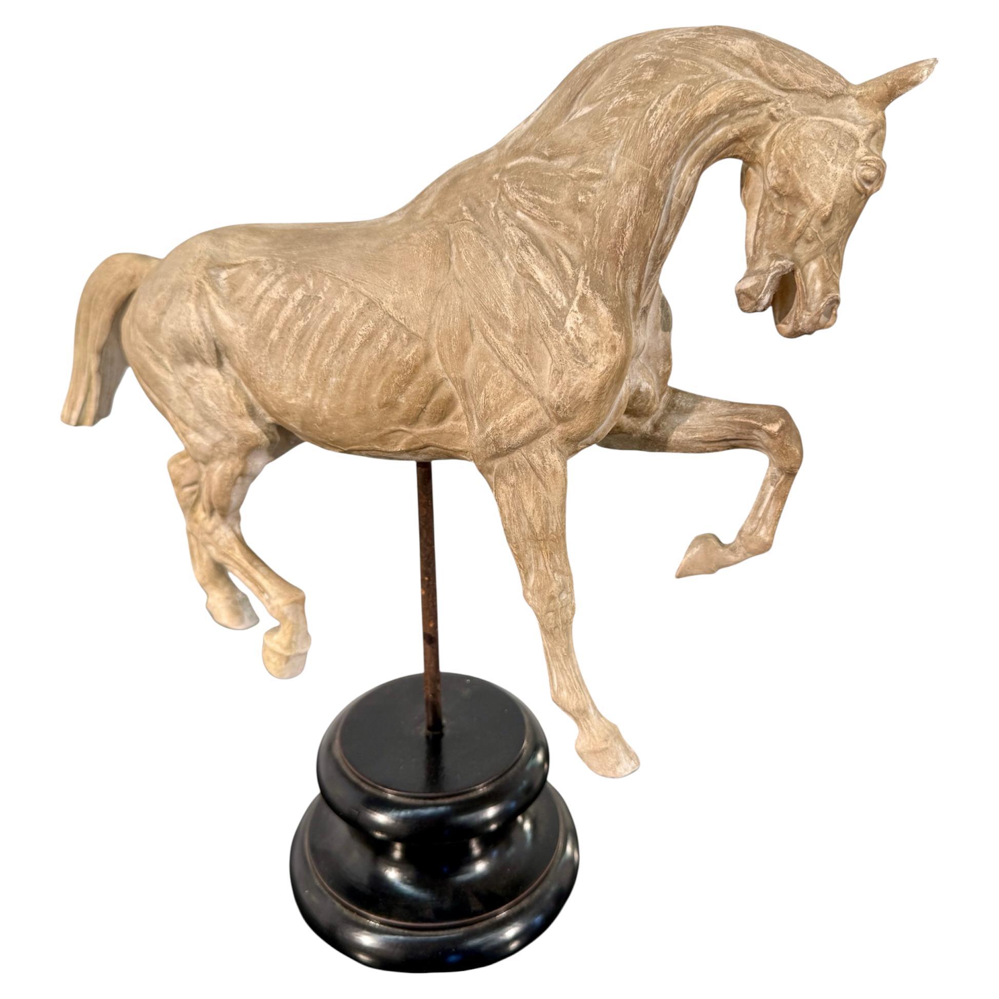 Hand-Carved Anatomical Horse Model on Stand For Sale