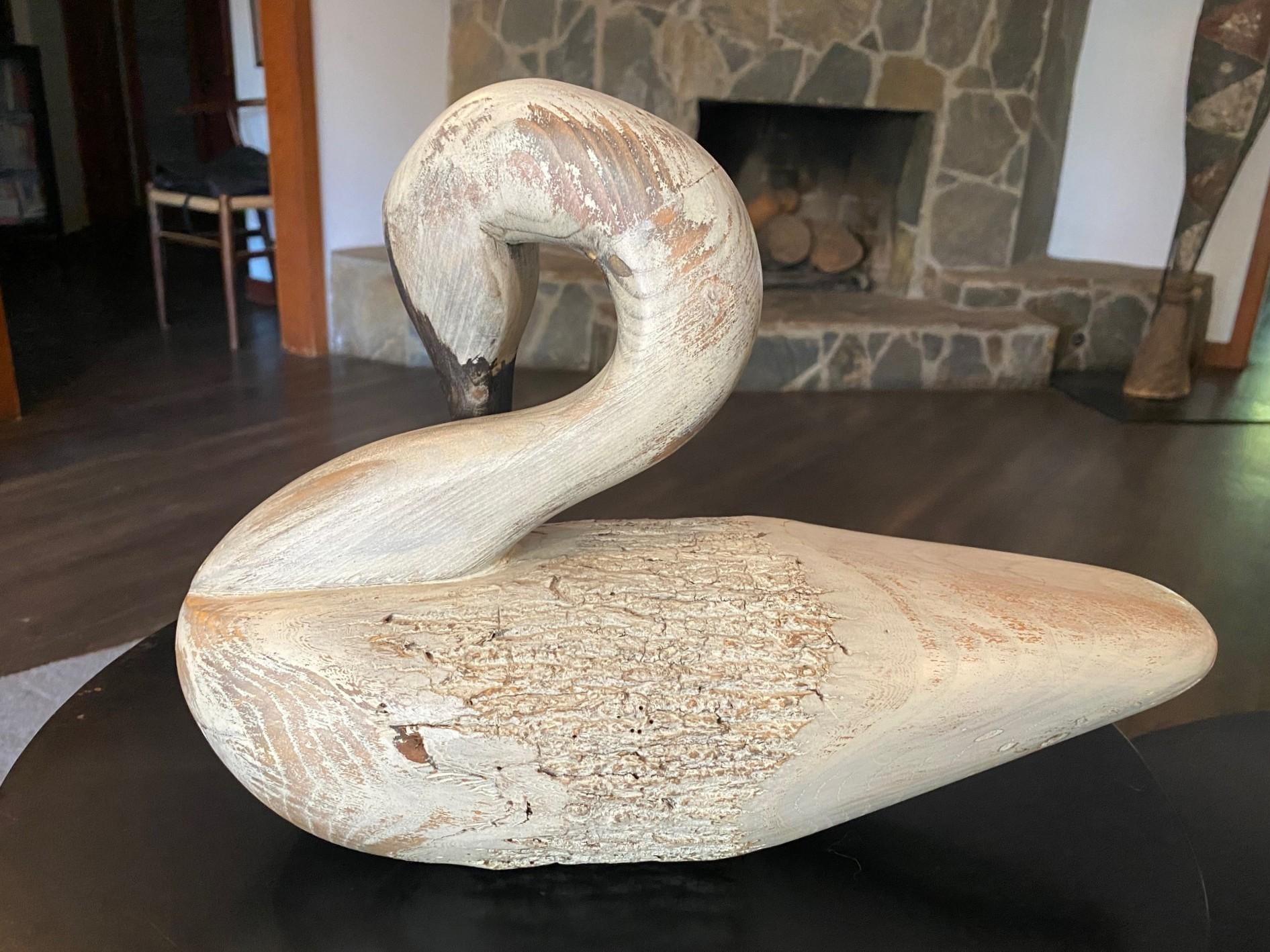 Un fantastique appelant en bois sculpté et peint à la main, un cygne en train de se prélasser. Cette pièce a une forme classique merveilleuse, une couleur blanche atténuée et une texture (remarquez l'utilisation magnifique du grain de bois naturel).