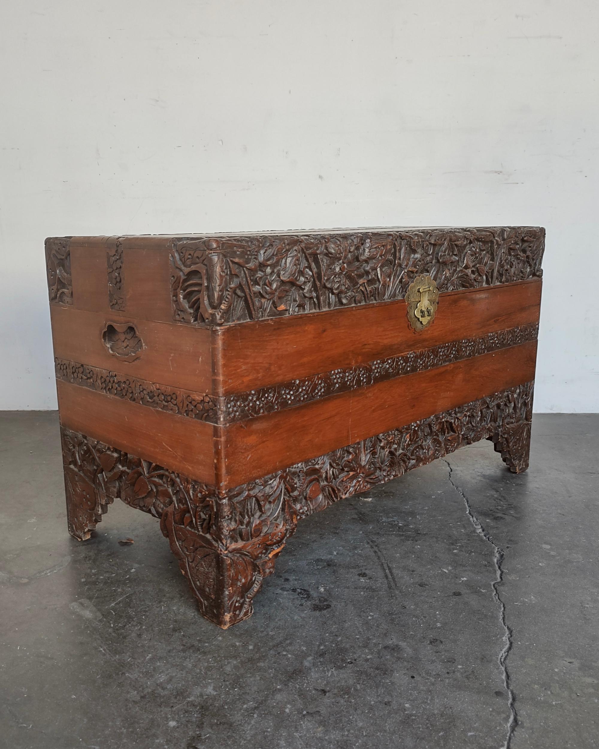 Hand Carved Antique Camphor Wood Chest 19th Century 5