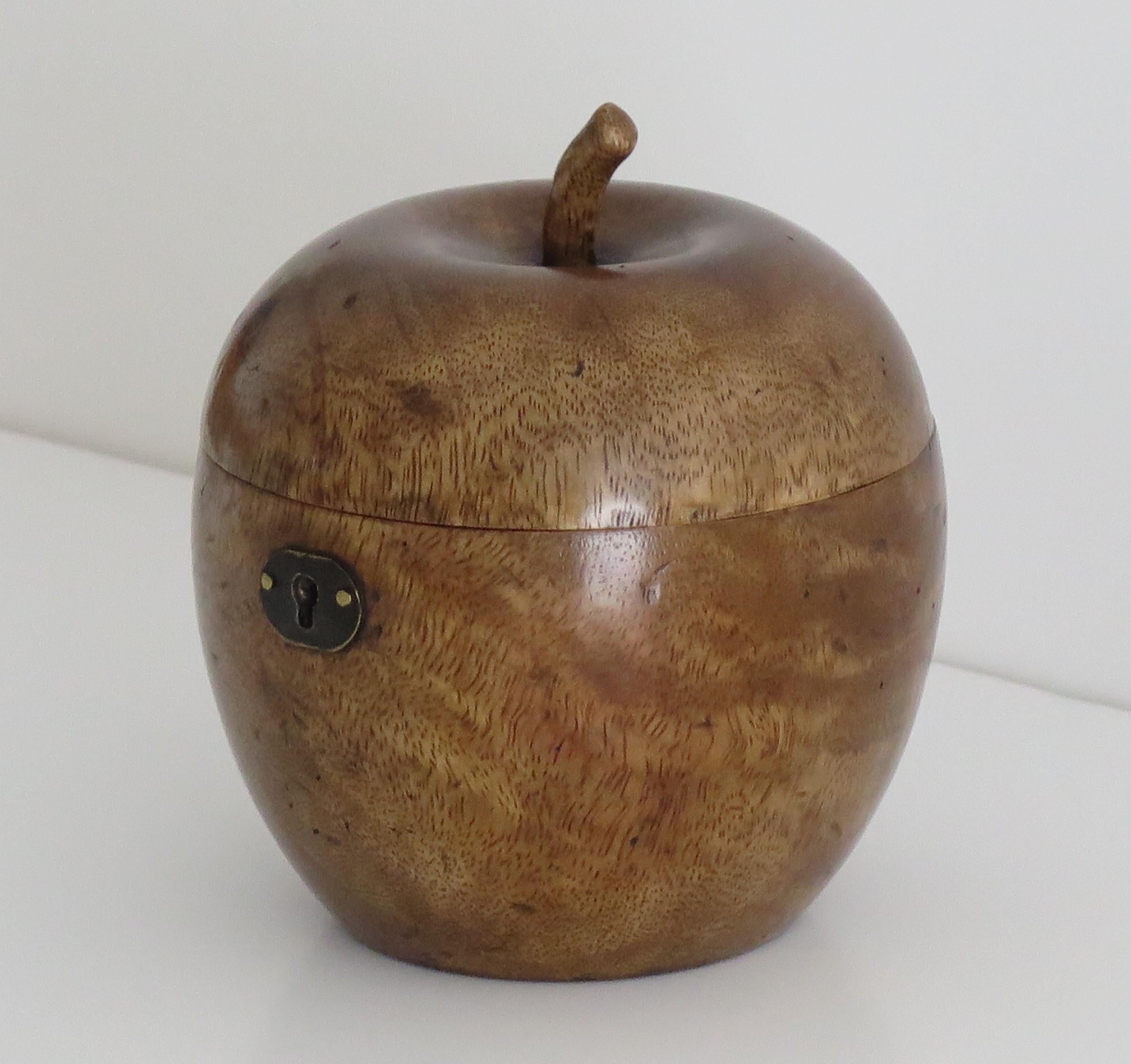 English Hand Carved Apple Tea Caddy in Hardwood with Lined Interior, 19th Century For Sale