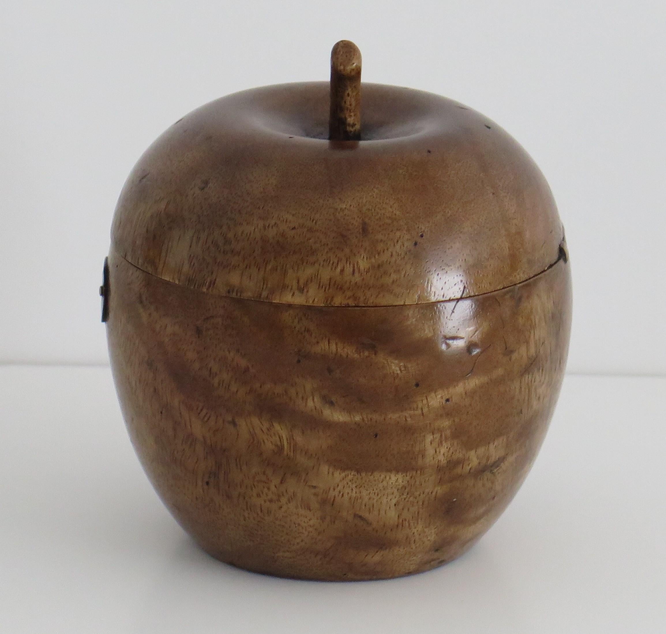 Hand-Carved Hand Carved Apple Tea Caddy in Hardwood with Lined Interior, 19th Century For Sale