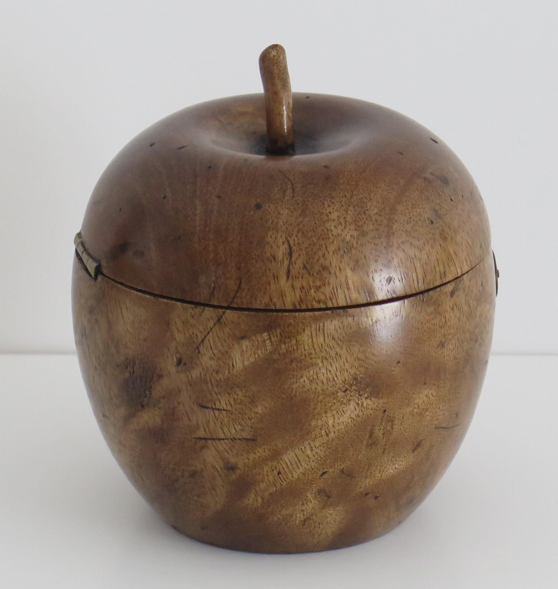 Hand Carved Apple Tea Caddy in Hardwood with Lined Interior, 19th Century For Sale 1
