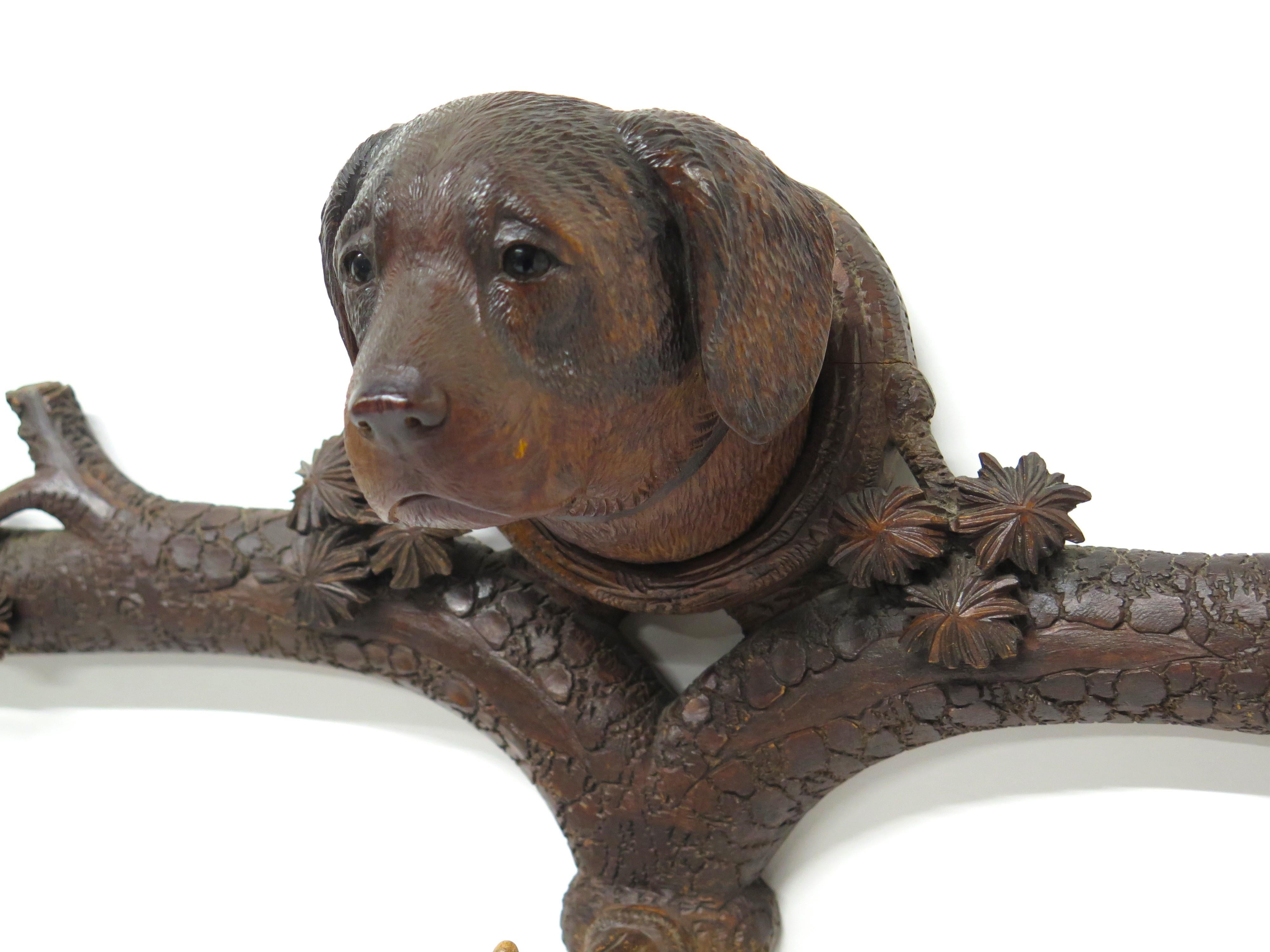 a beautifully hand-carved Black Forest collared dog three hook coat / hat rack, the dog has inset glass eyes, the mount is carved to look like a tree limb, with bark, leaf, and flower details, the hooks are made to resemble deer antler, probably