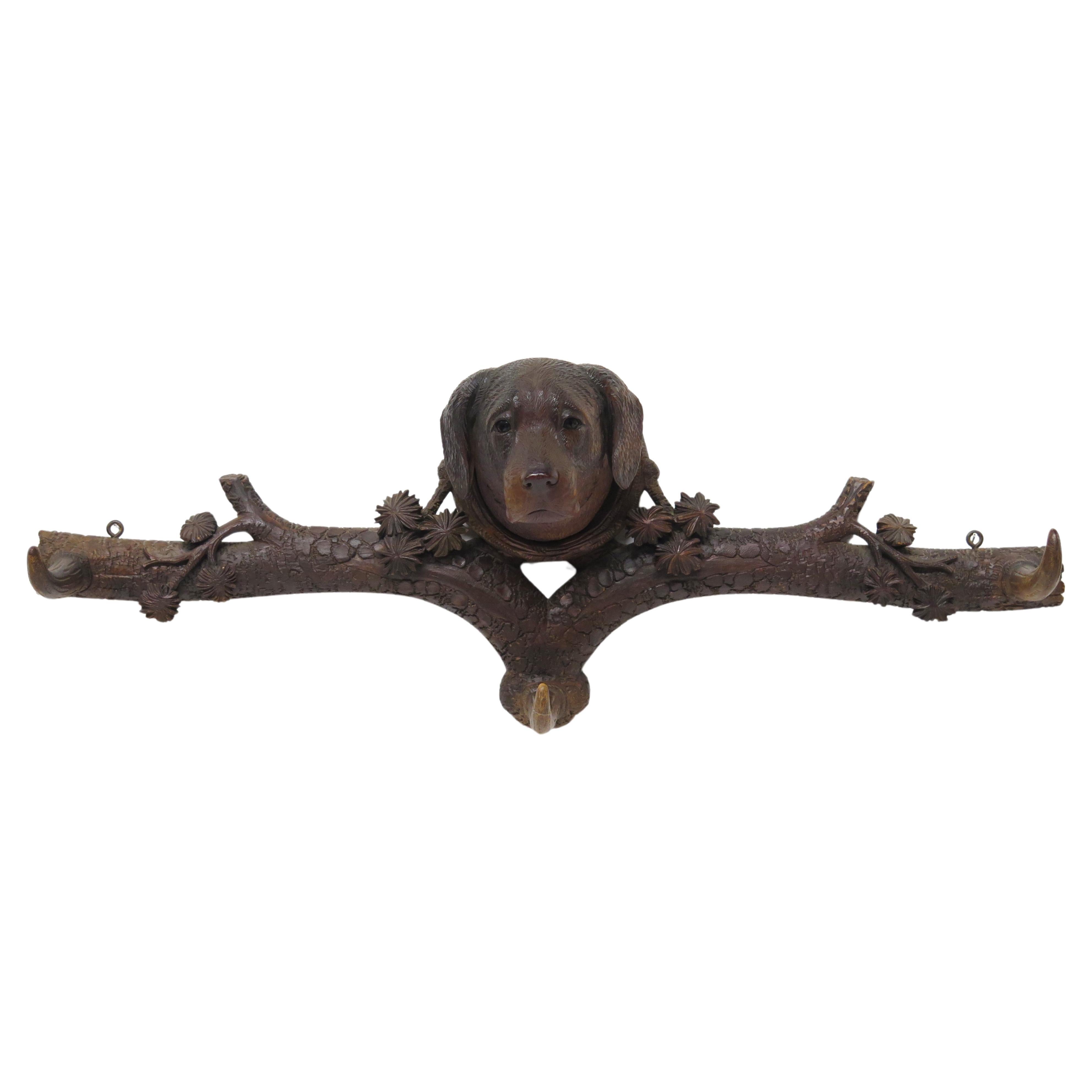 Hand-Carved Black Forest Dog Three Hook Coat Rack For Sale