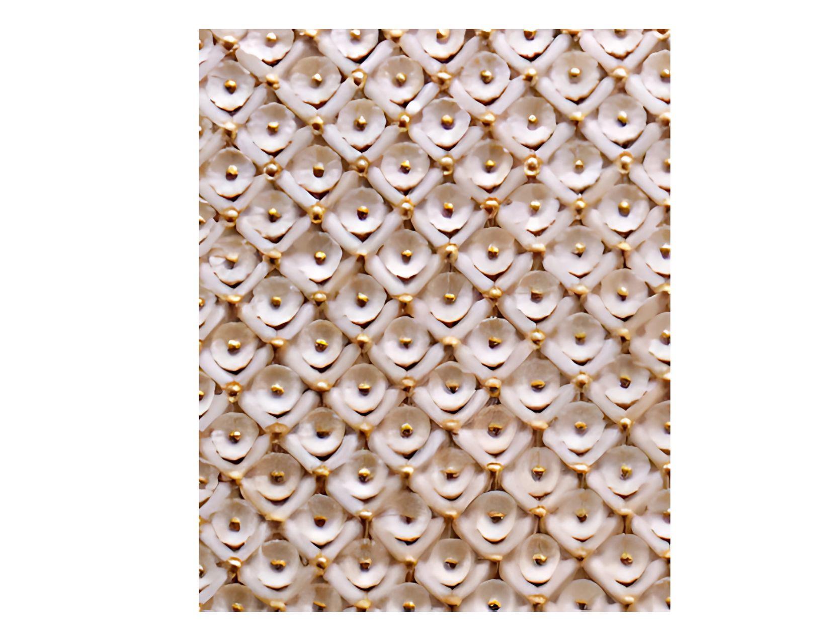 Realizzata in legno massiccio, questa porta è ornata da fiori in osso meticolosamente intagliati a mano, ciascuno coronato da una perla in ottone al centro. Questi fiori, che ricordano un ricamo su un tessuto pregiato, sono incorniciati all'interno