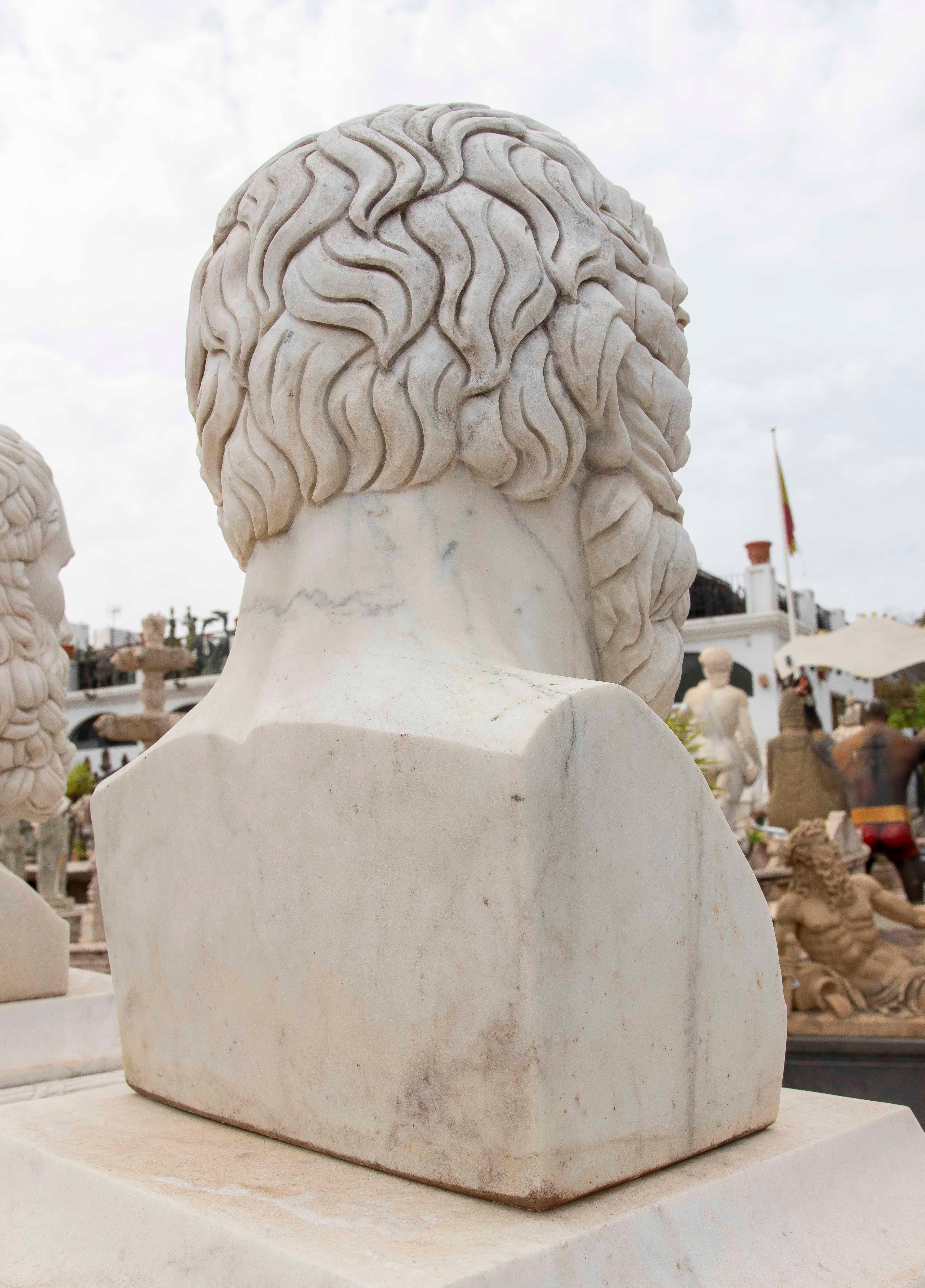 XX secolo Busto di Socrate scolpito a mano in marmo bianco in vendita