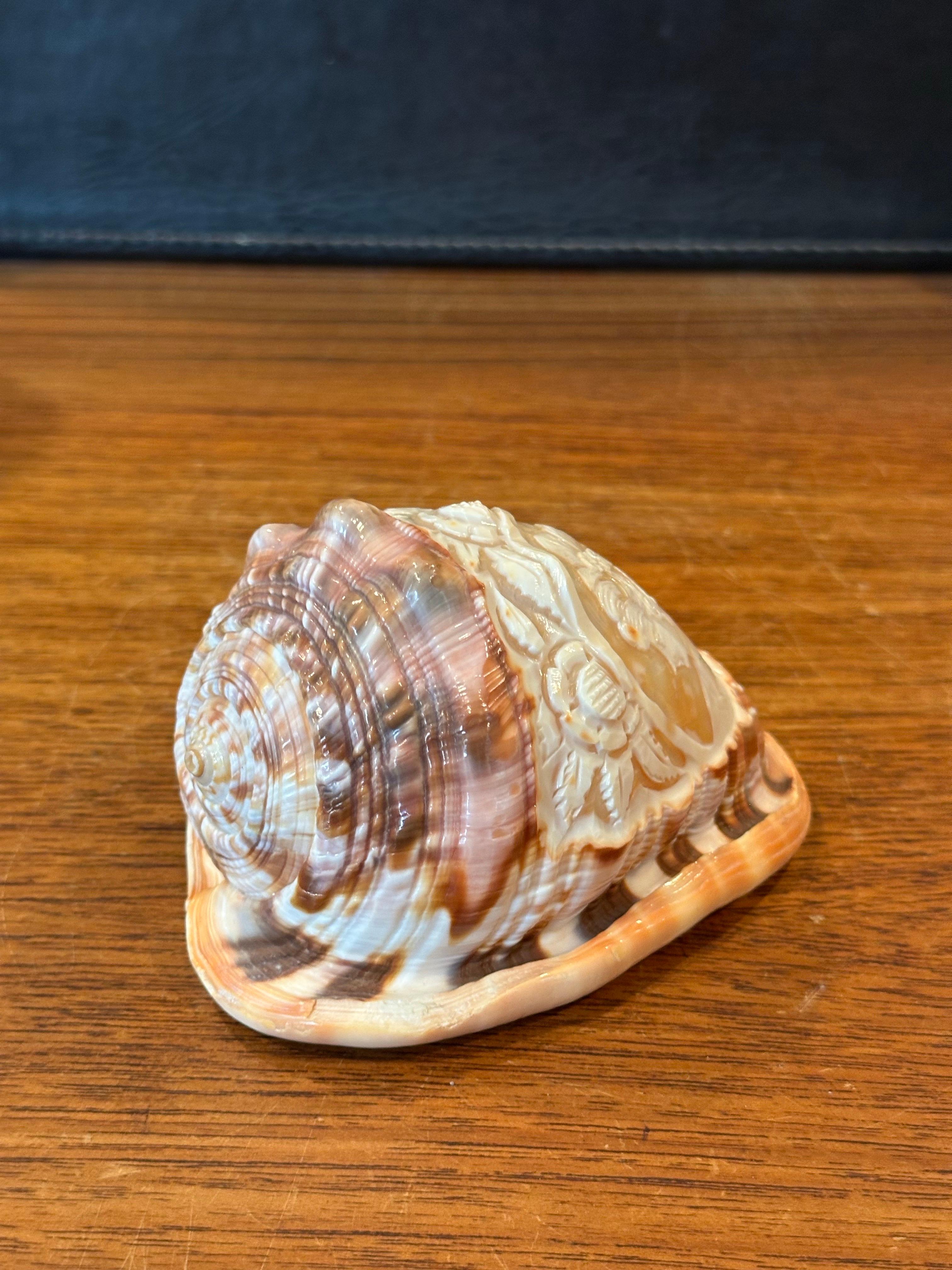 Hand Carved Cameo on Conch Shell For Sale 4