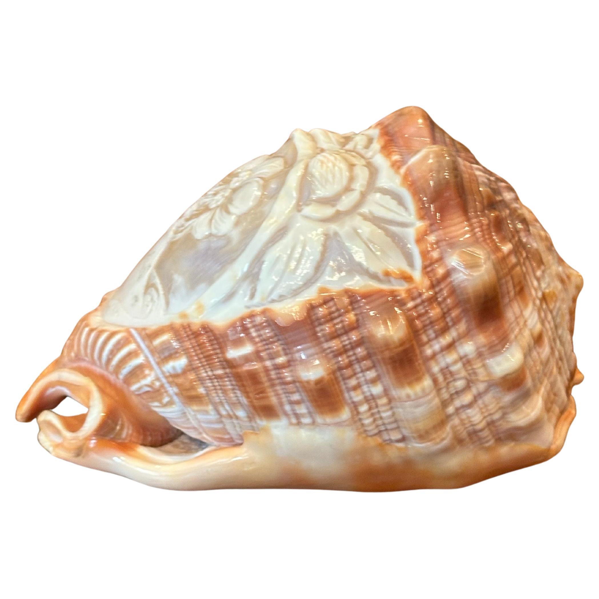 A beautiful hand carved cameo on conch shell made in Italy, circa 1980s. The piece is in excellent condition and measures 5