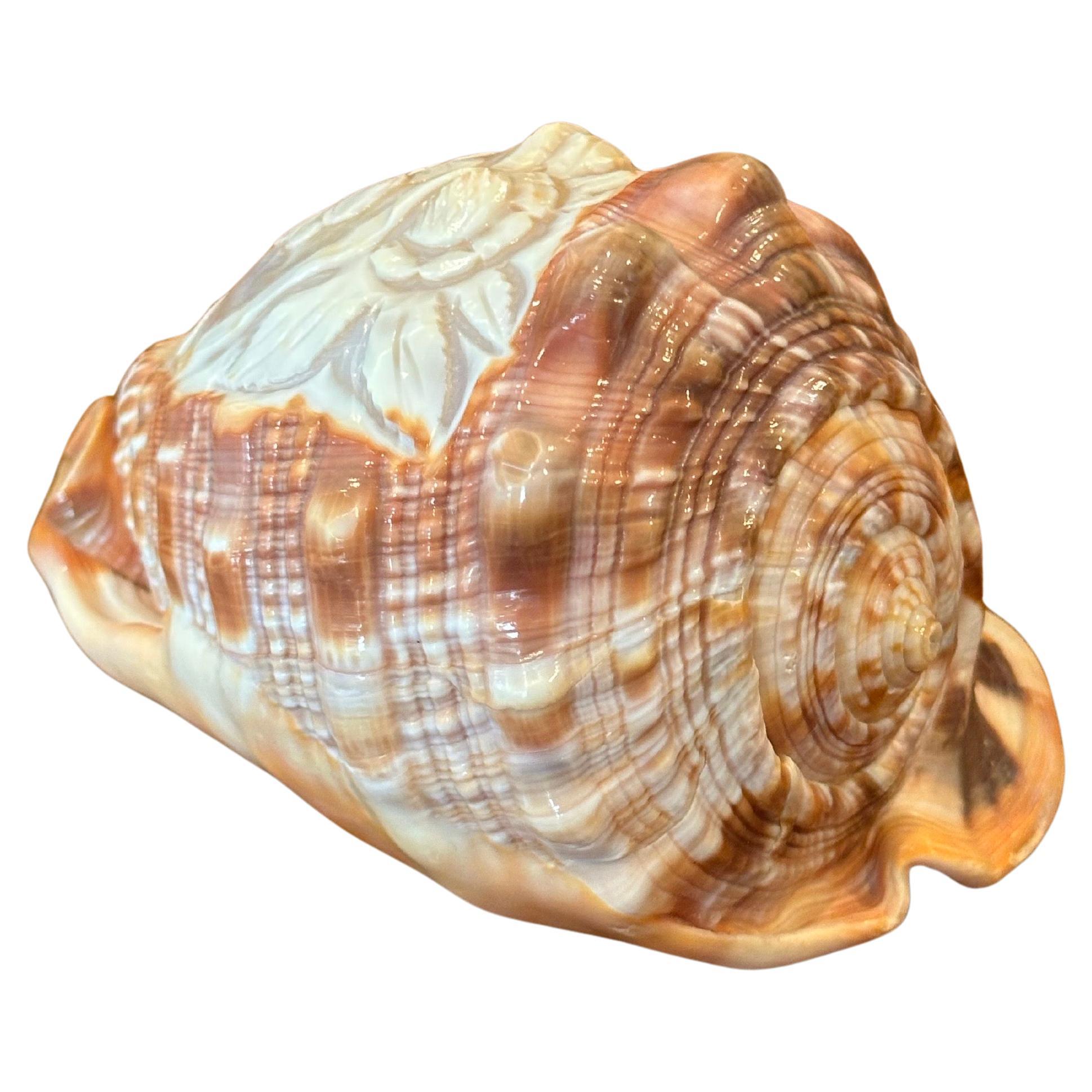 Hollywood Regency Hand Carved Cameo on Conch Shell For Sale