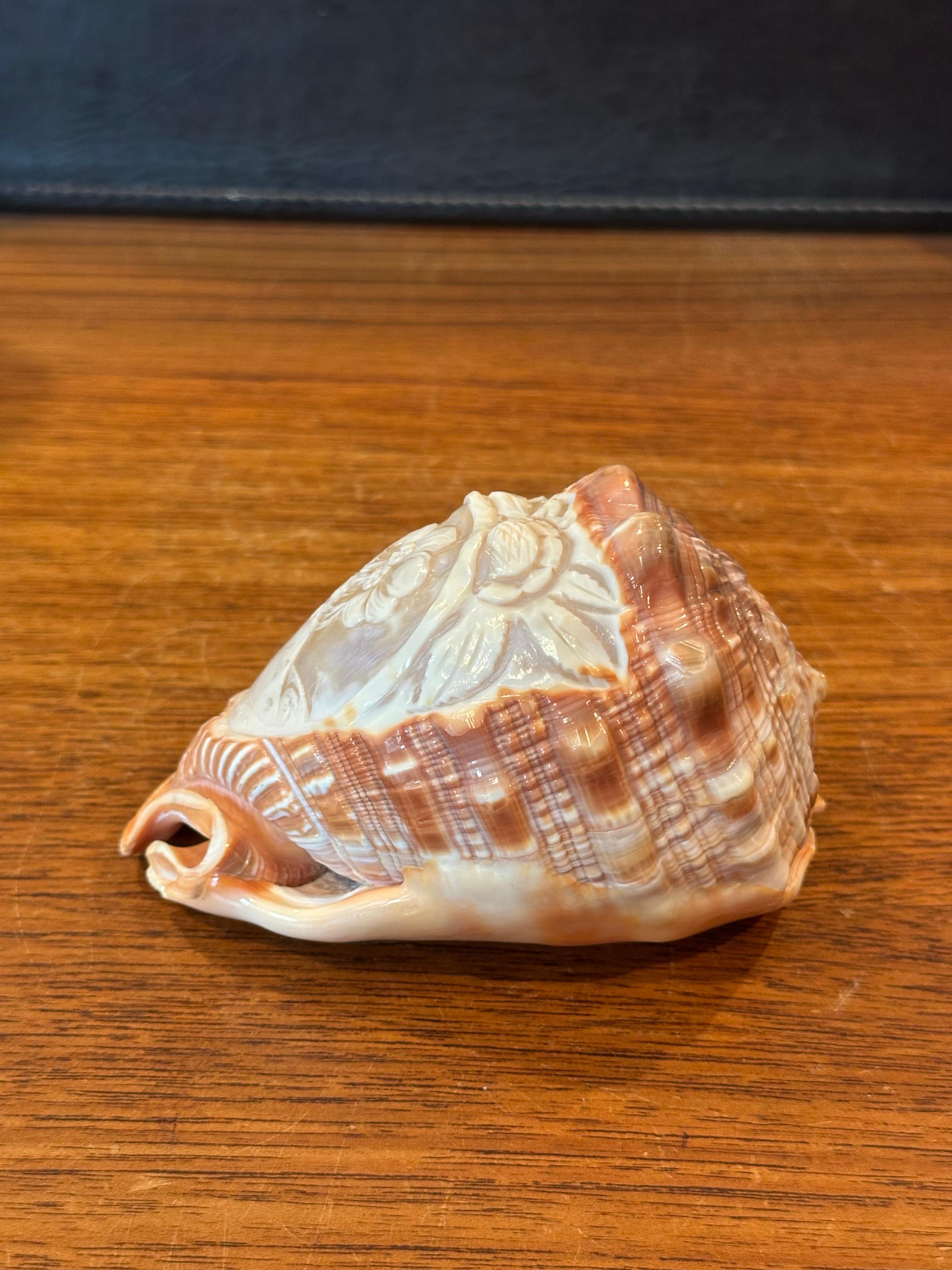Hand Carved Cameo on Conch Shell For Sale 1