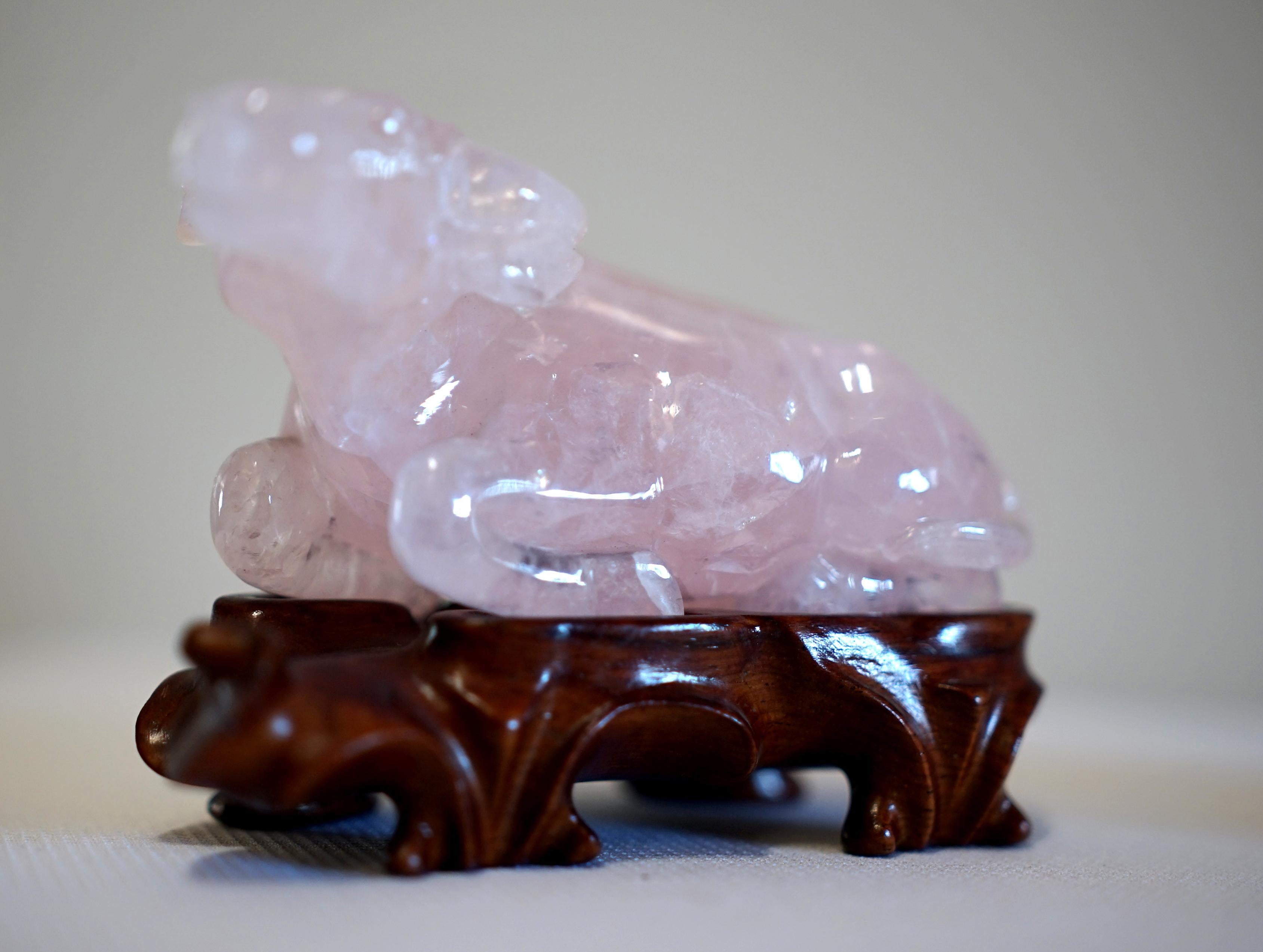 Bœuf chinois en quartz rose sculpté à la main sur un support en bois dur personnalisé

Description :
Ce bœuf en quartz rose finement sculpté est un exemple frappant de l'art chinois de la pierre, qui daterait du milieu du XXe siècle. Rendu avec un