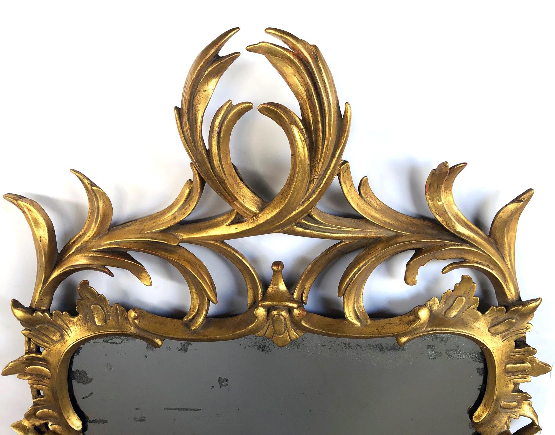 Européen Miroir en bois doré à feuillage, sculpté à la main, de style néo-rococo continental en vente