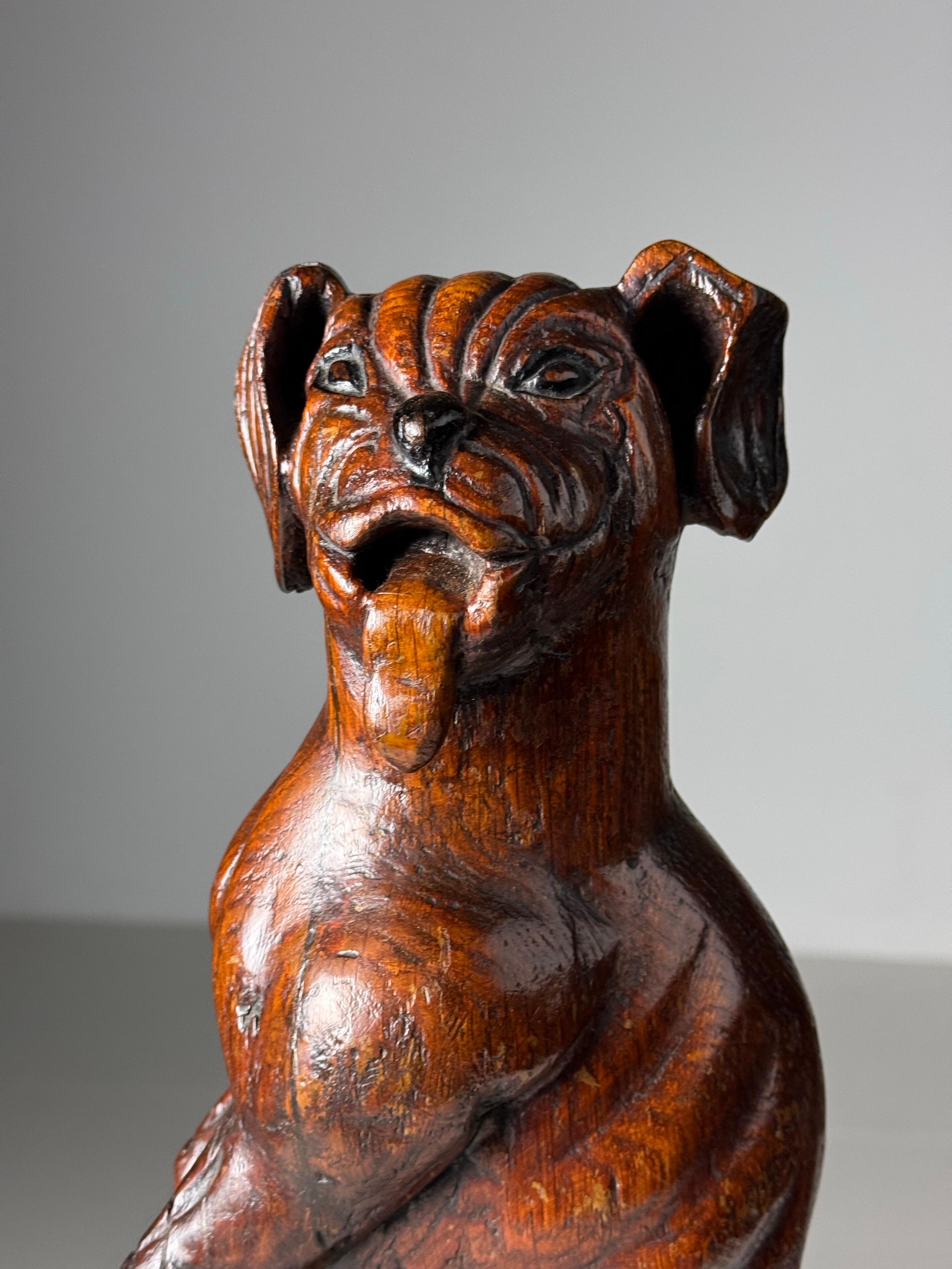 Hand carved dog of Saint Rocco of Venice 18th century For Sale 6