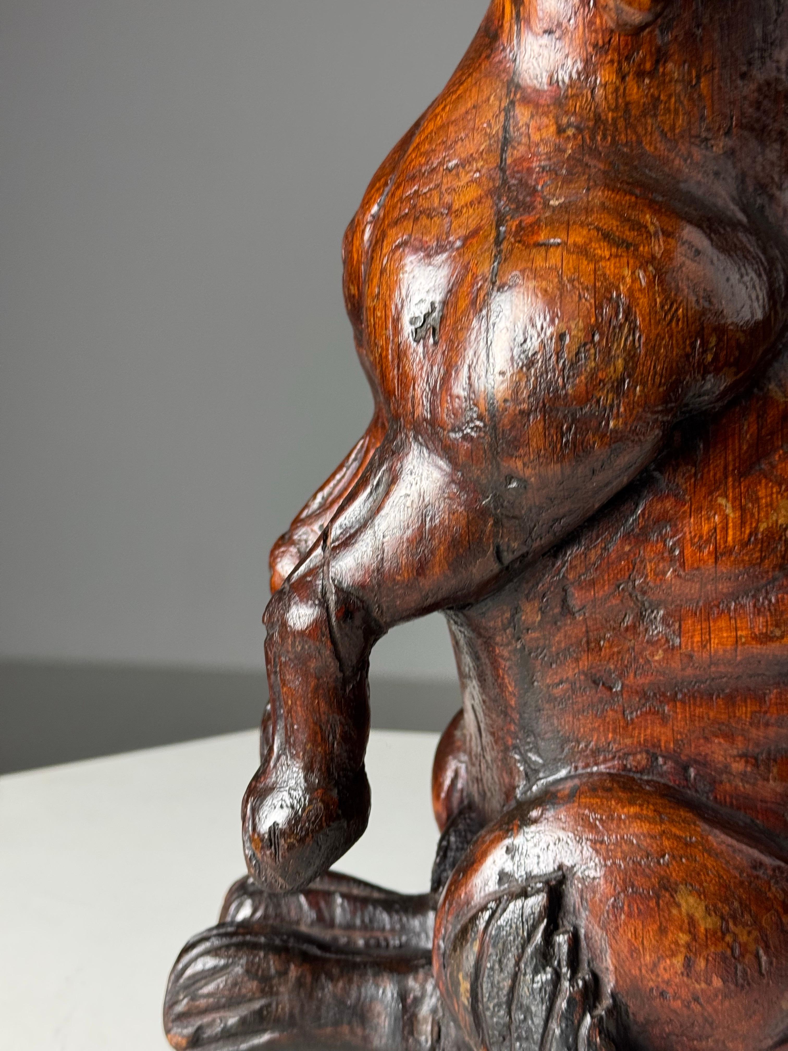 Hand carved dog of Saint Rocco of Venice 18th century For Sale 7