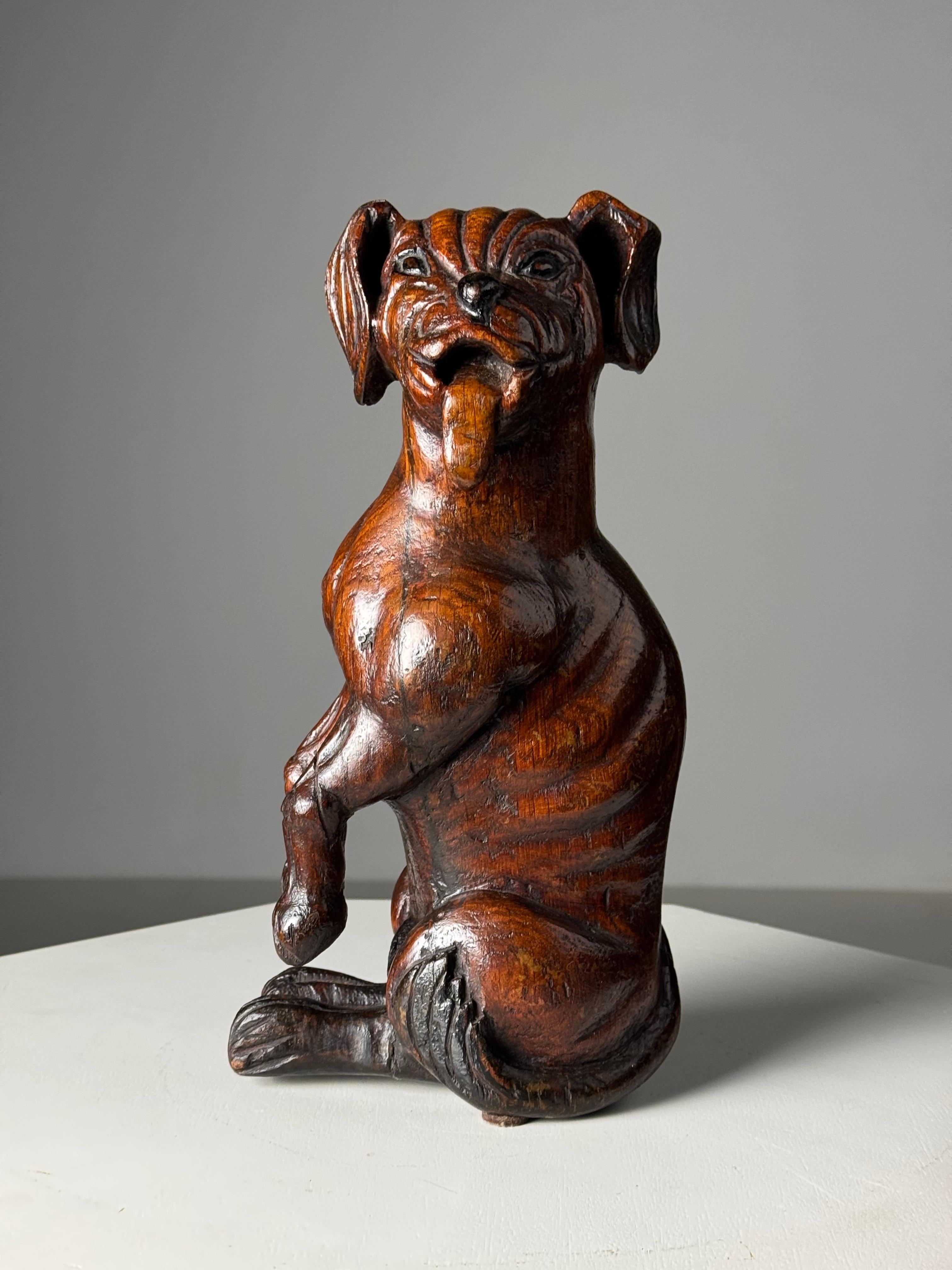 Hand carved dog of Saint Rocco of Venice 18th century For Sale 8