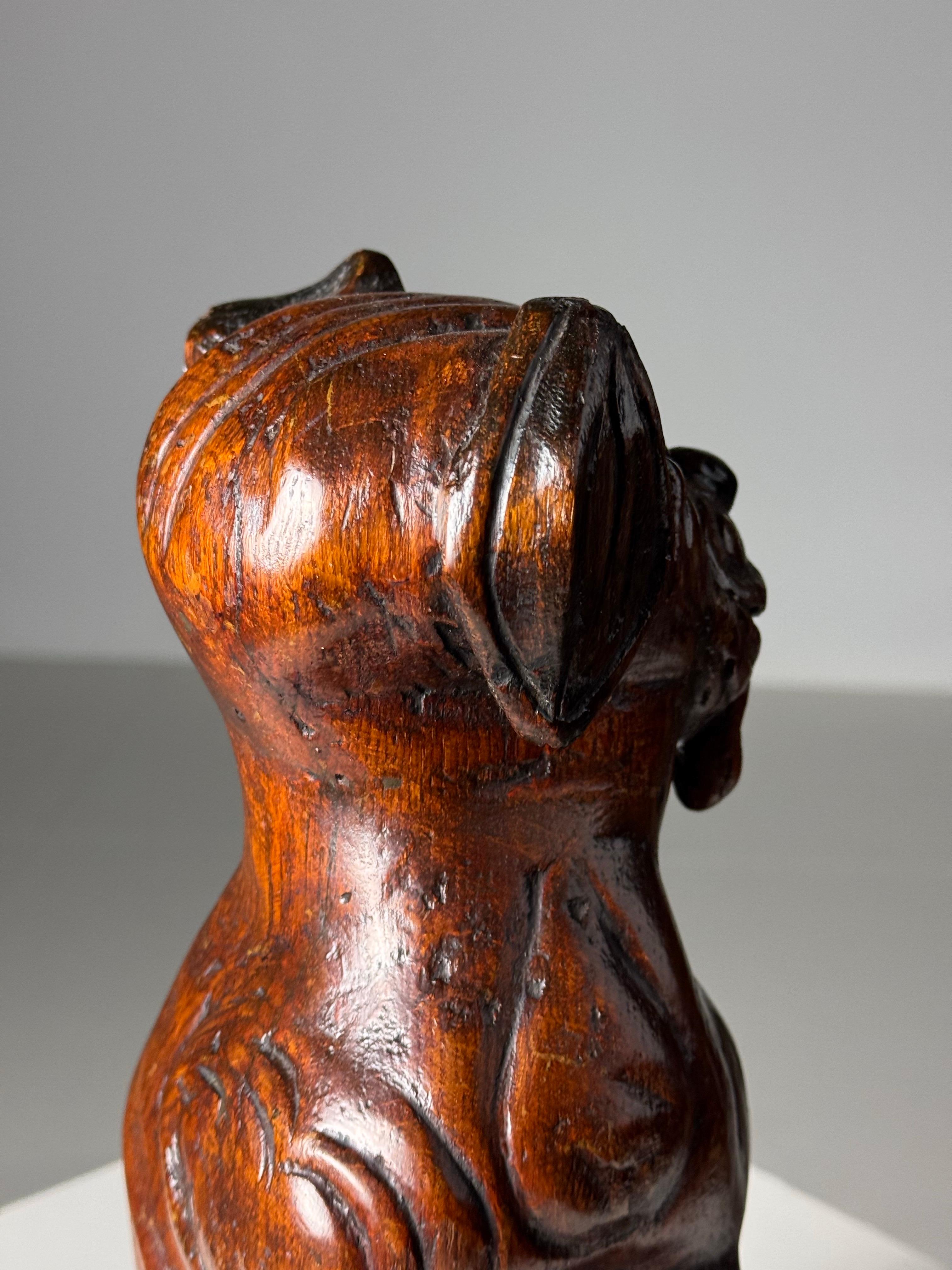 18th Century and Earlier Hand carved dog of Saint Rocco of Venice 18th century For Sale