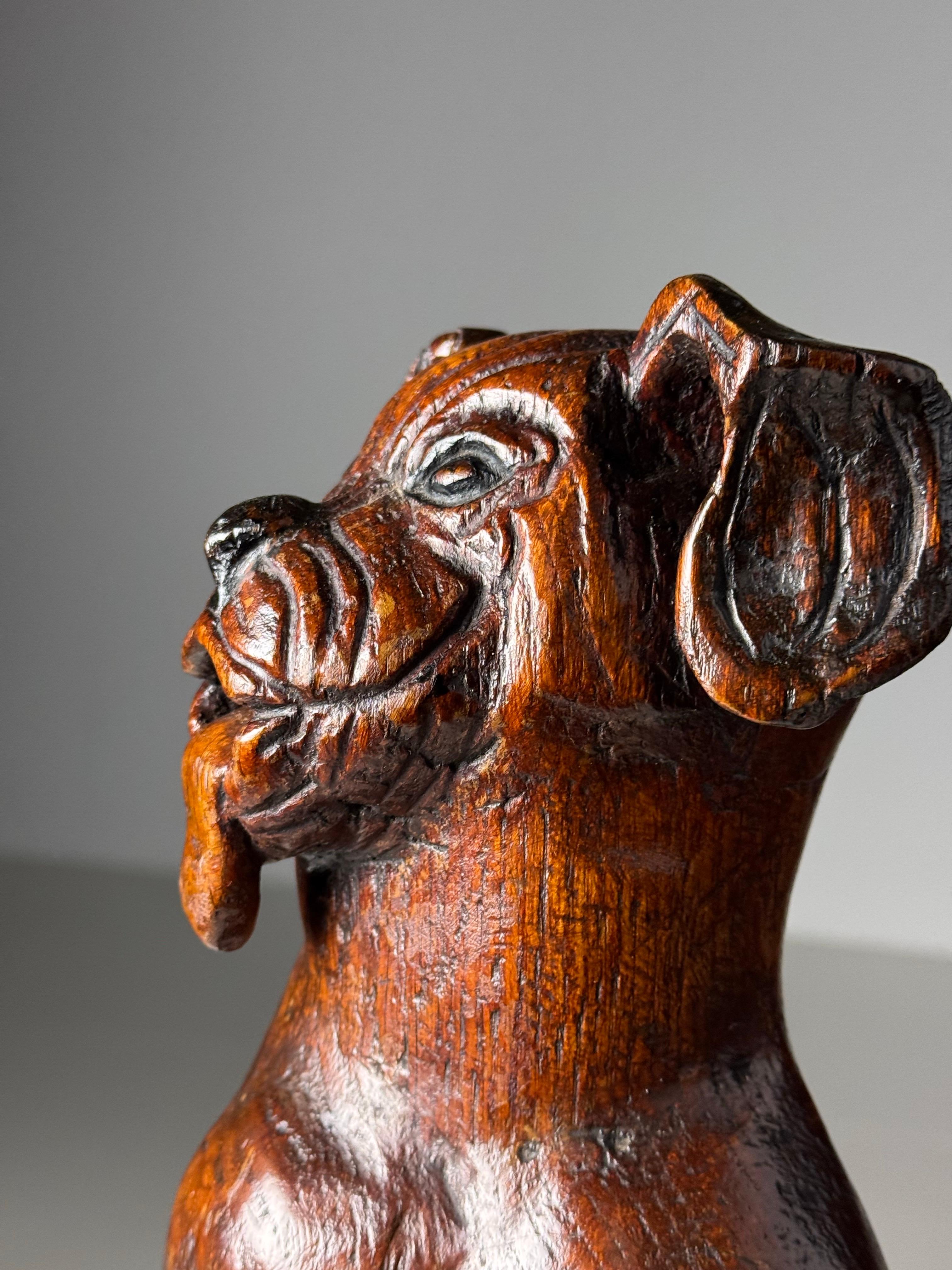 Oak Hand carved dog of Saint Rocco of Venice 18th century For Sale