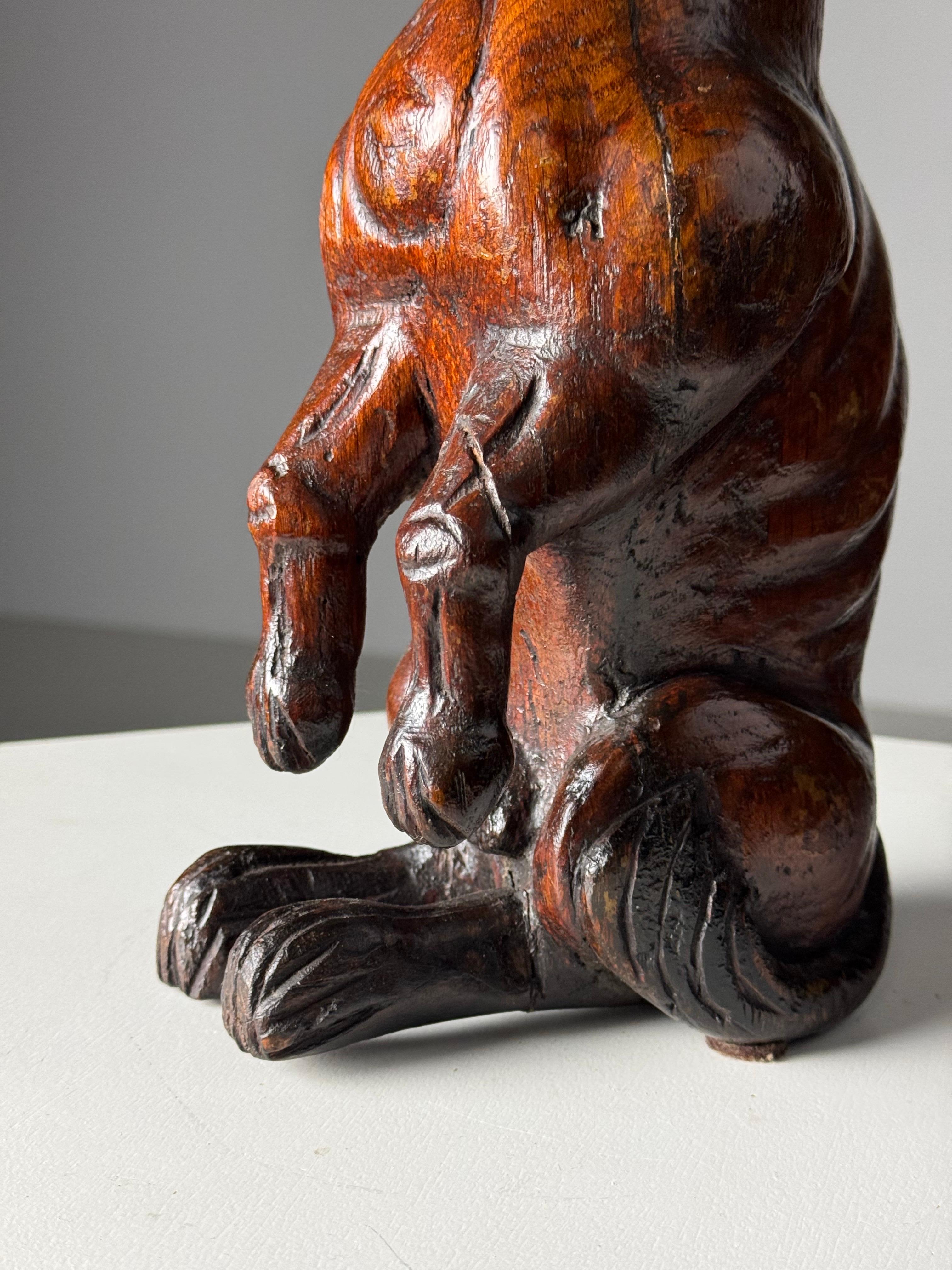 Hand carved dog of Saint Rocco of Venice 18th century For Sale 1