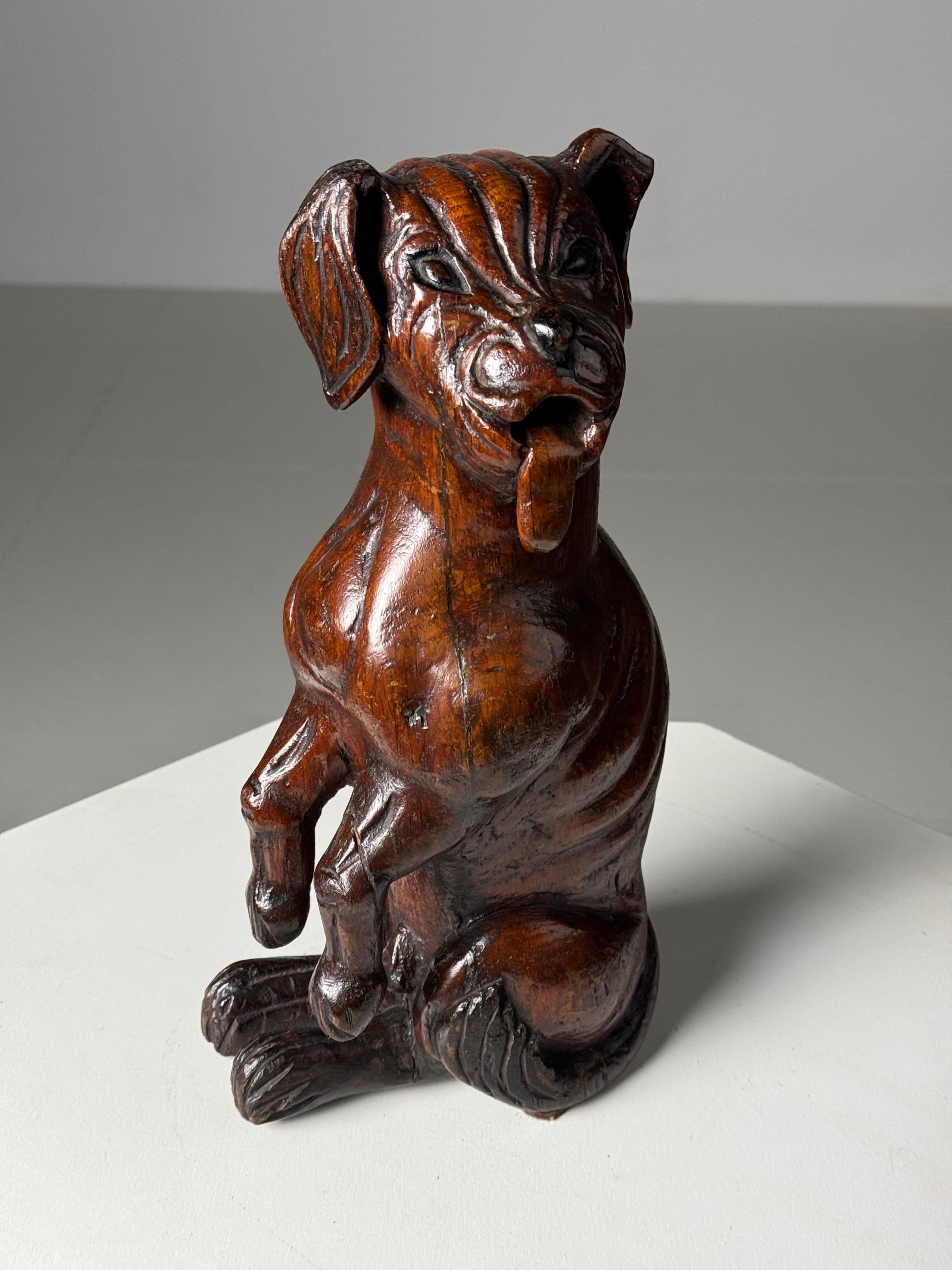 Hand carved dog of Saint Rocco of Venice 18th century For Sale 2