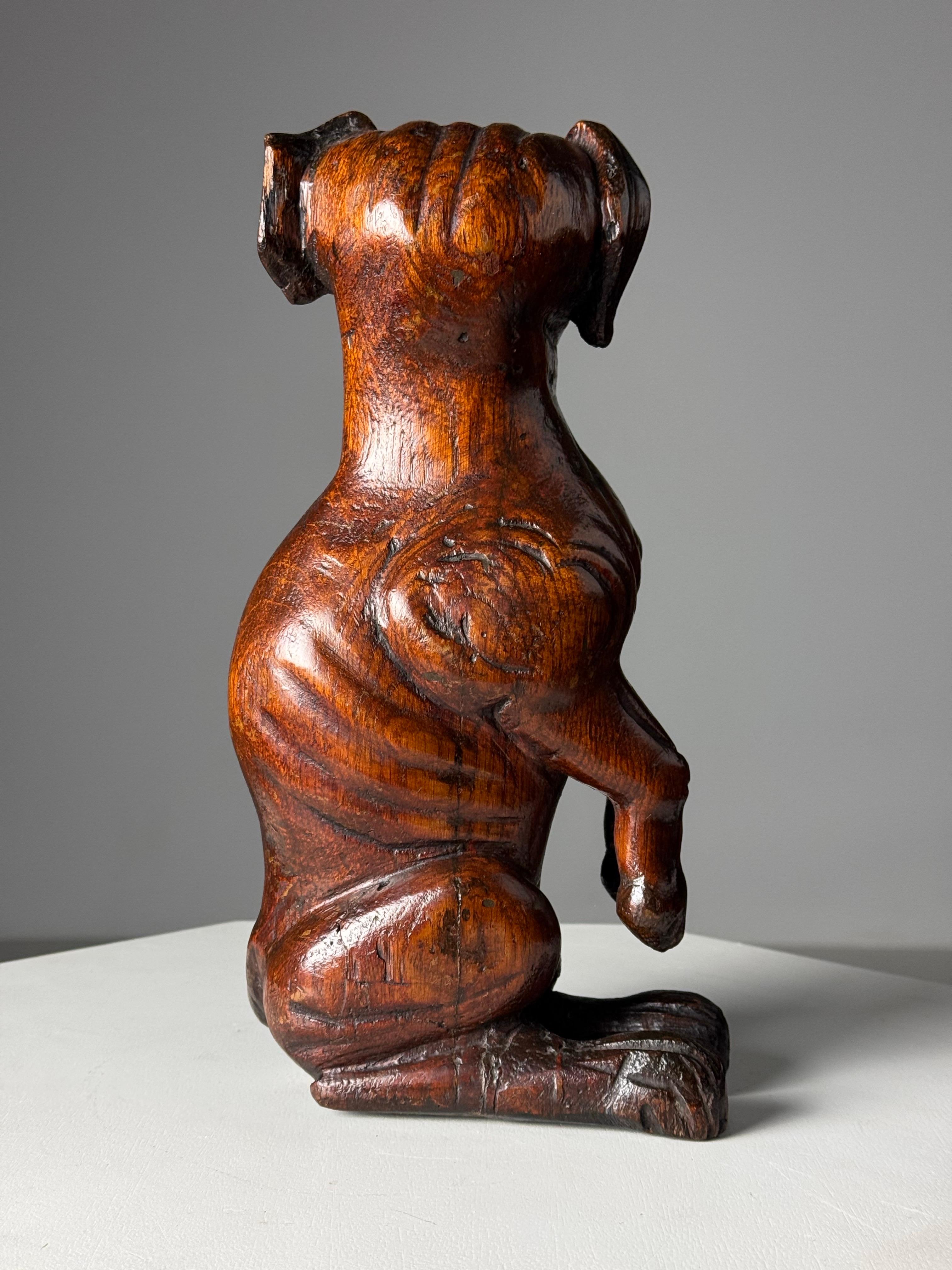 Hand carved dog of Saint Rocco of Venice 18th century For Sale 3