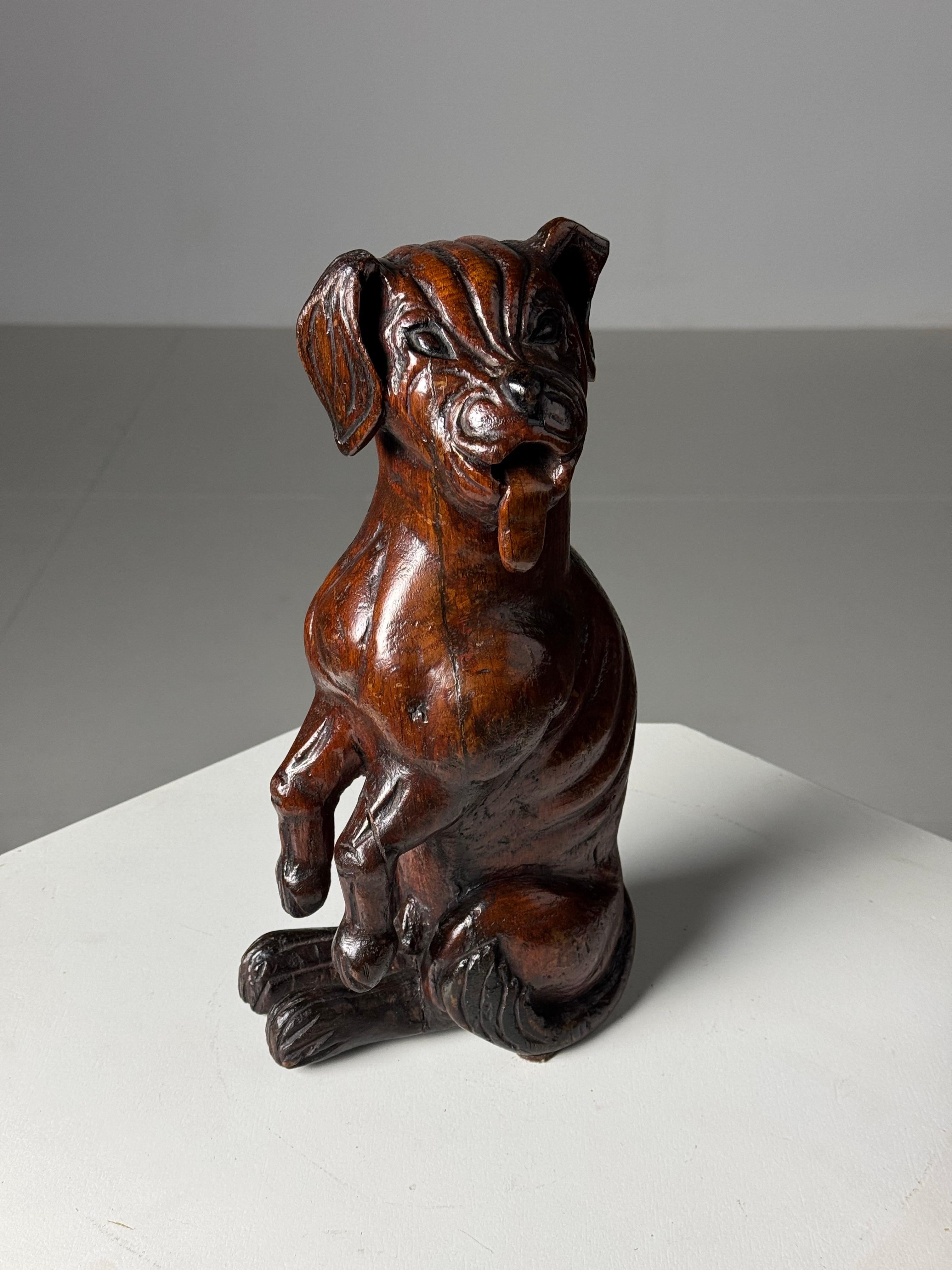 Hand carved dog of Saint Rocco of Venice 18th century For Sale 4