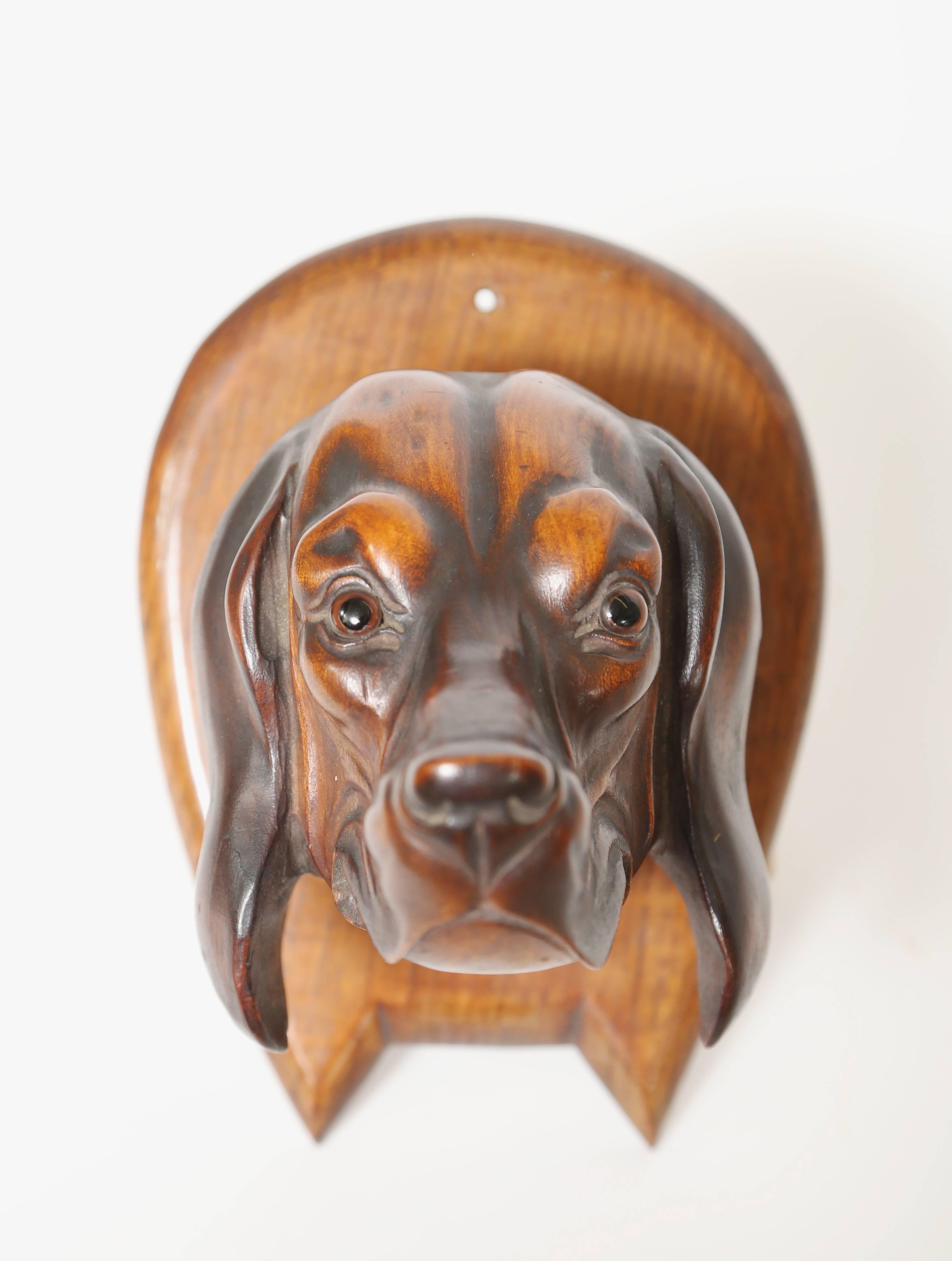 Riding crop holder in the form of a  hand carved  hunting dog's head with glass eyes.  The realistic carving is  mounted on a horse shoe shaped plaque.

(This item is eligible for a gift box).