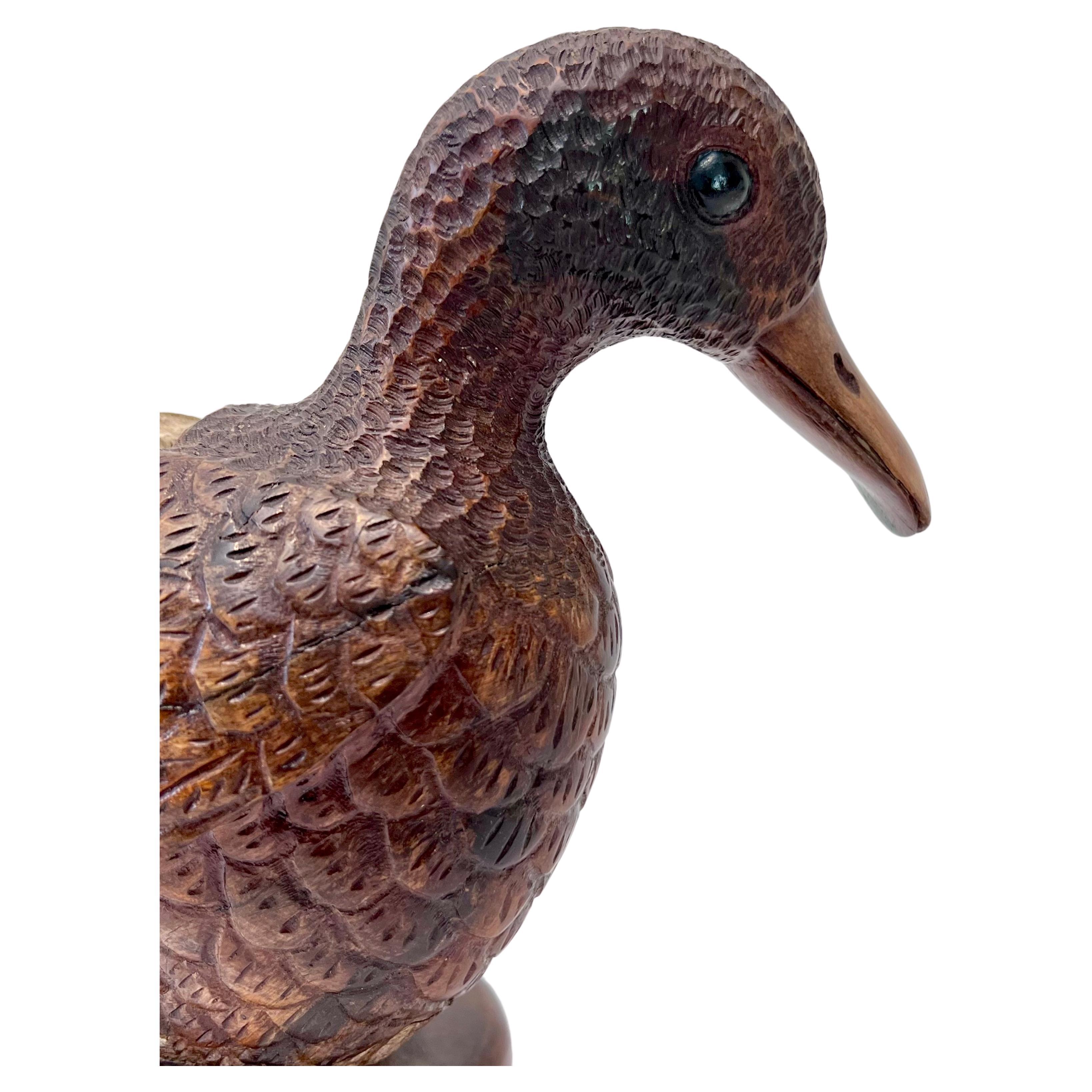 American Hand Carved Duck Sculpture from DriftWood For Sale