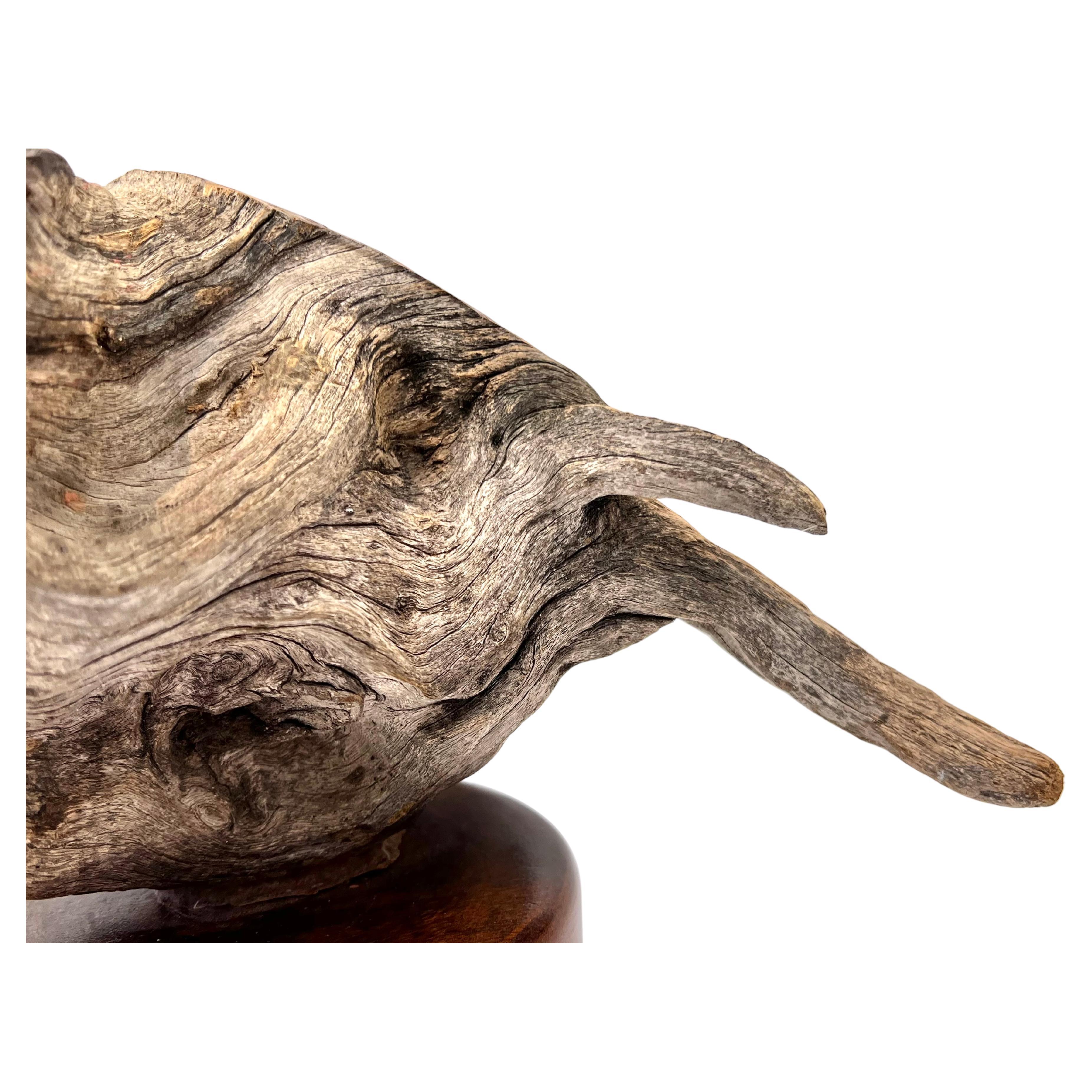Late 20th Century Hand Carved Duck Sculpture from DriftWood For Sale