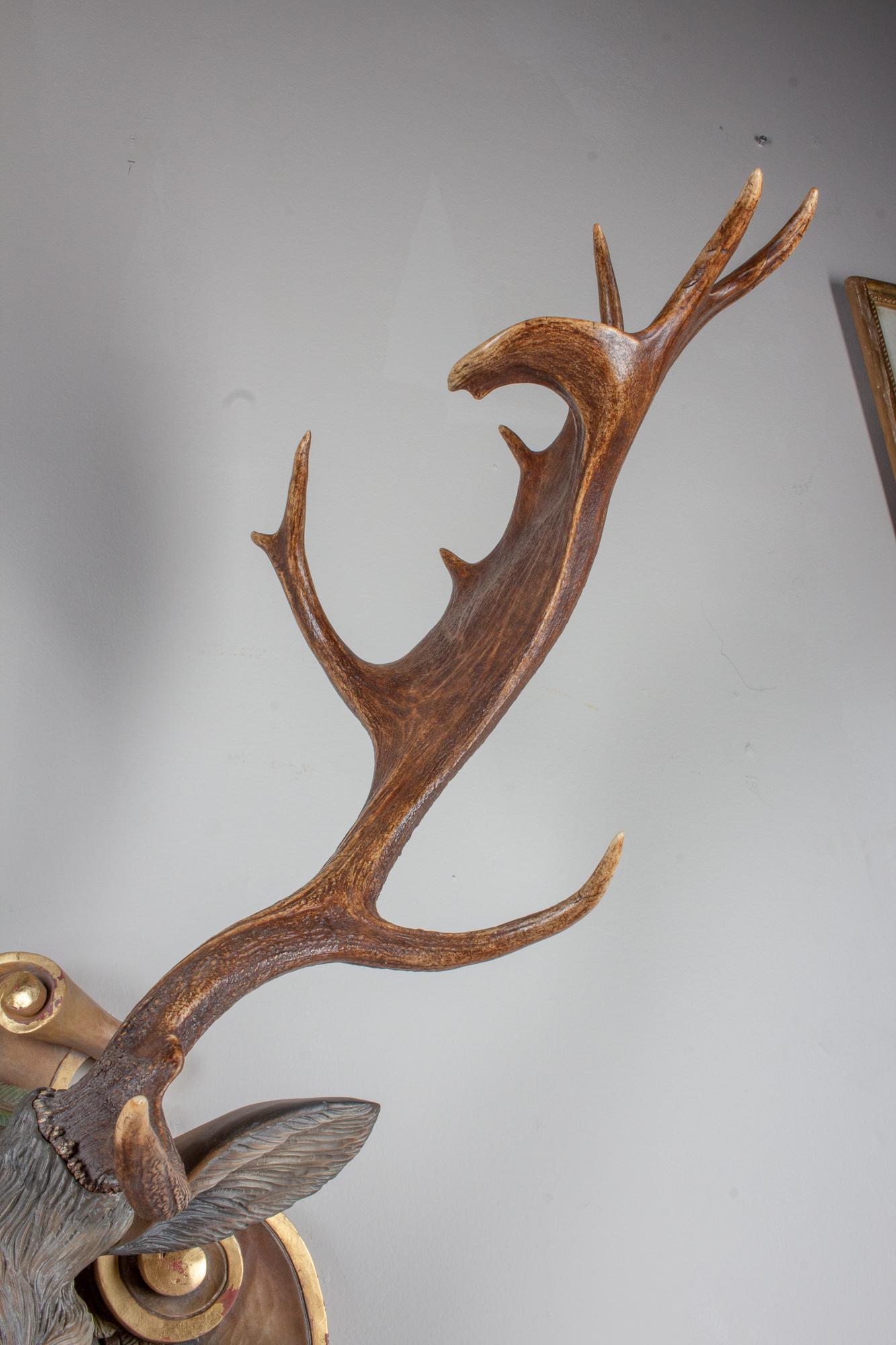 Hand-Carved Fallow Deer with Antique Habsburg Antlers from Eckartsau Castle 8